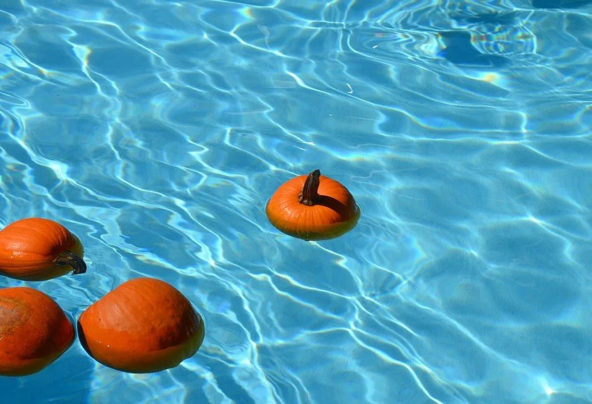 ARC Pumpkin Splash