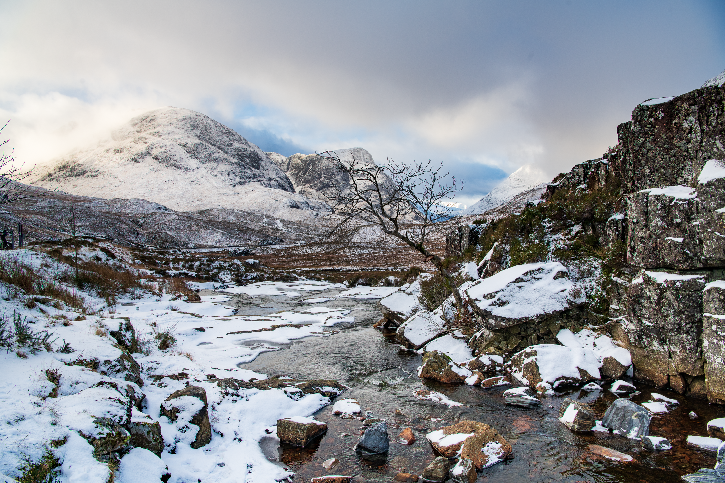 Glencoe - Lone tree perched over stream after fresh snow