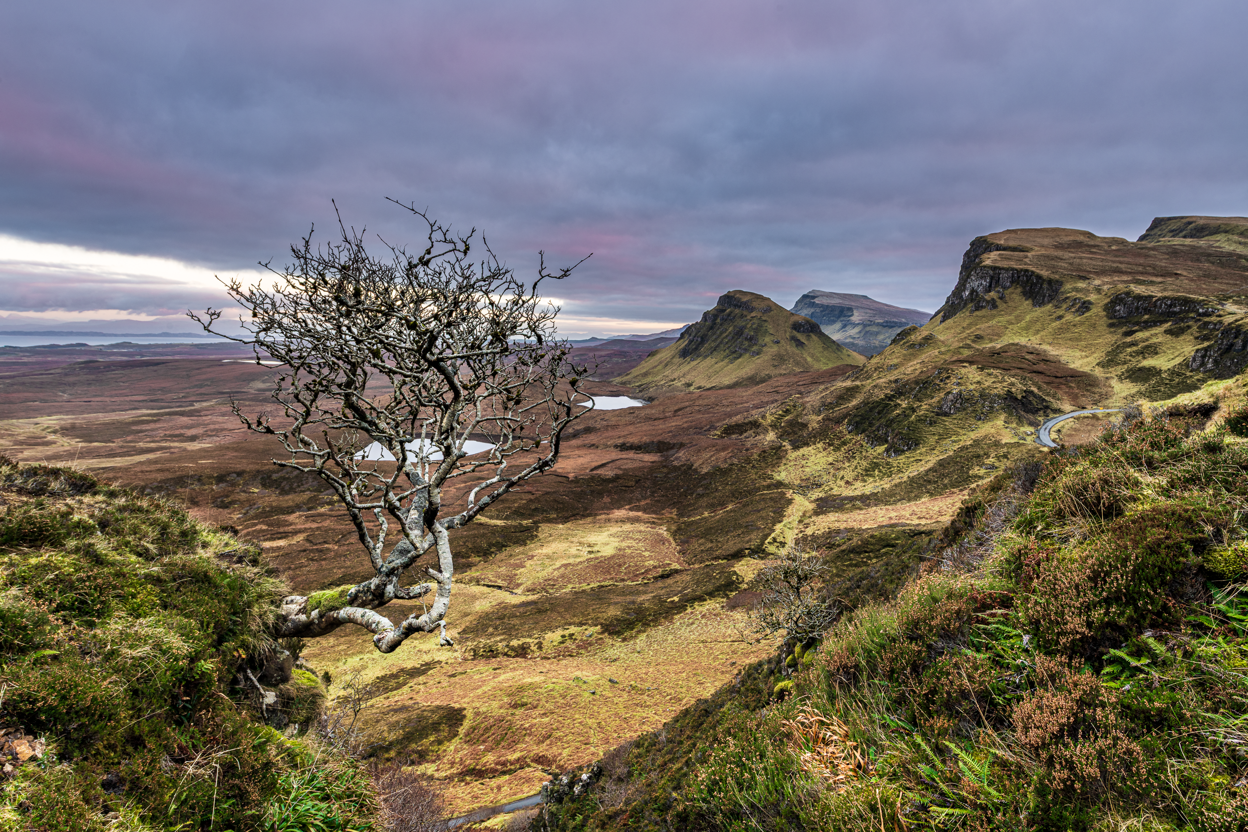 Isle of Skye - Lone tree Quiraing