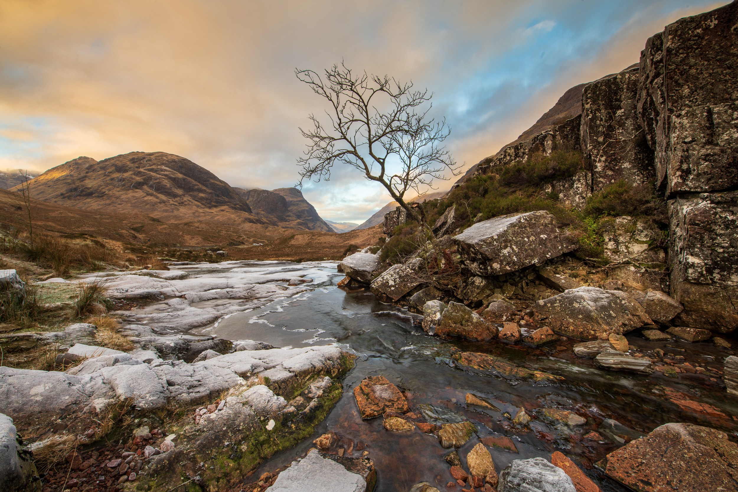 Glencoe - Lone tree perched over stream in winter