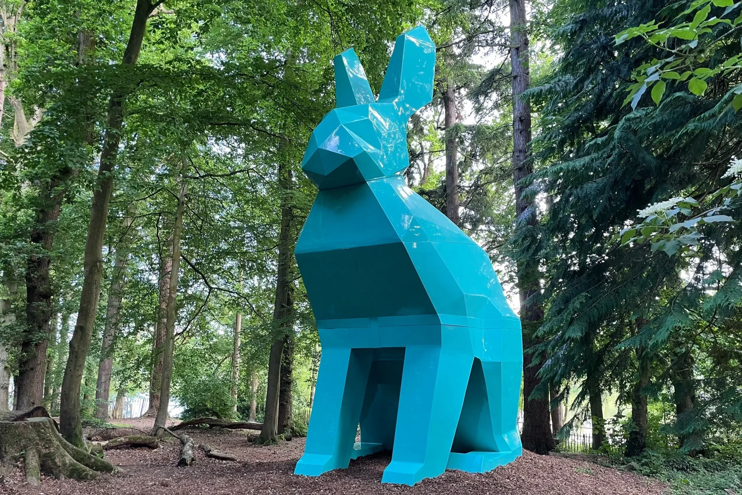 Hare - Hillsborough Forest Park