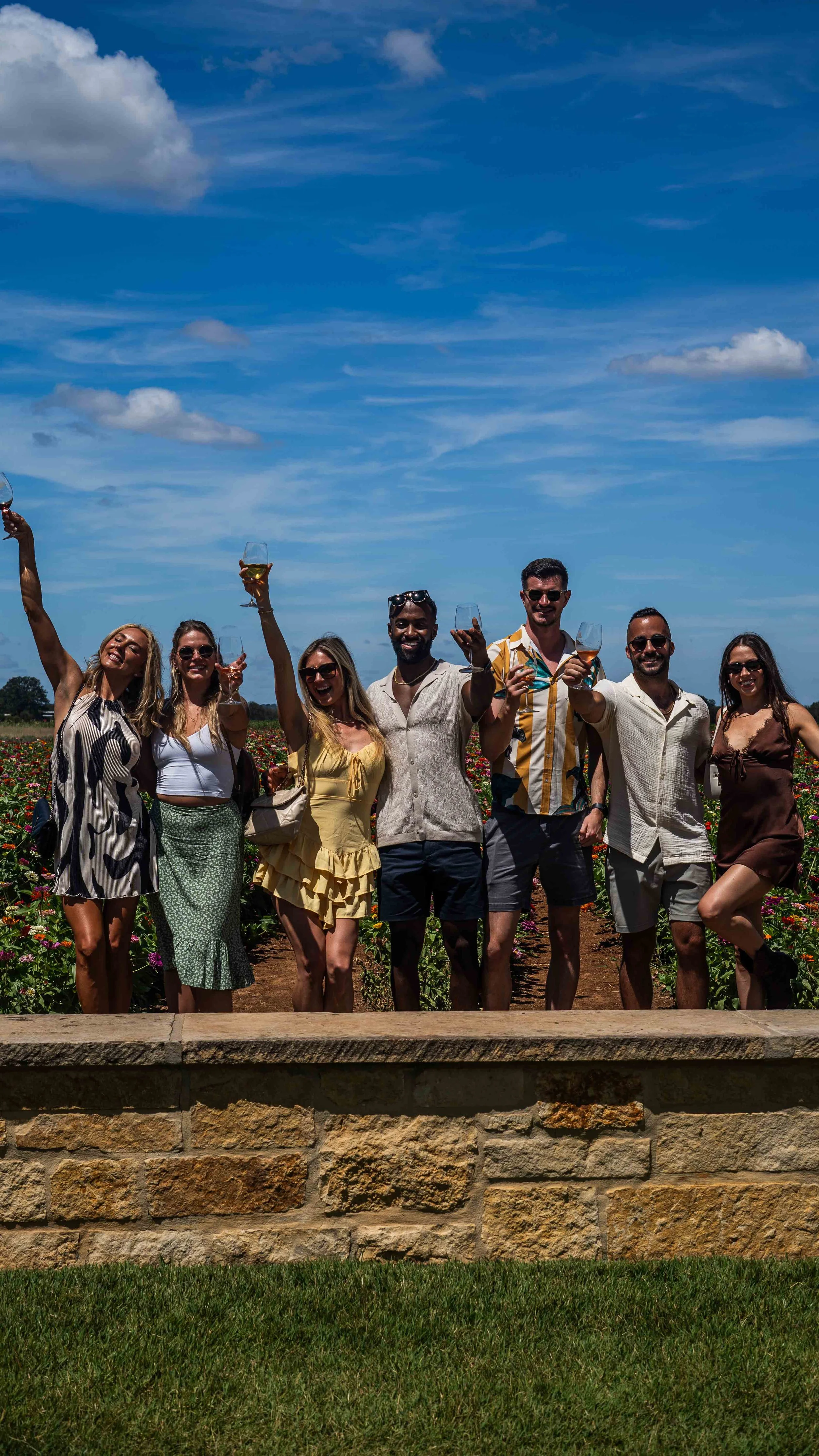 A group of seven friends standing together outdoors, holding glasses of white wine, smiling, with blue sky and clouds in the background.