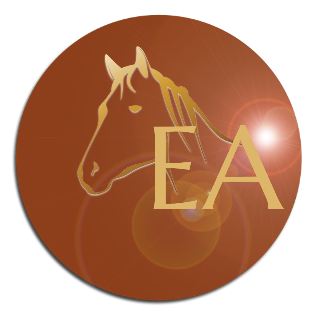 Equine Acupressure Basics