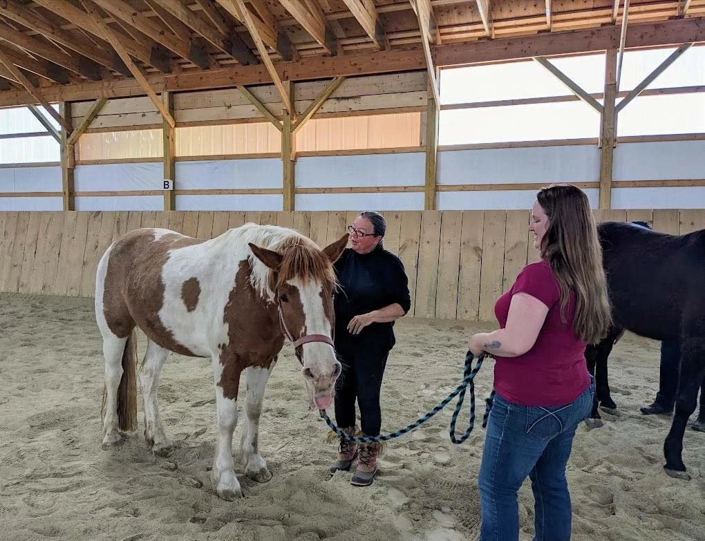 Equine Acupressure Basics Classes