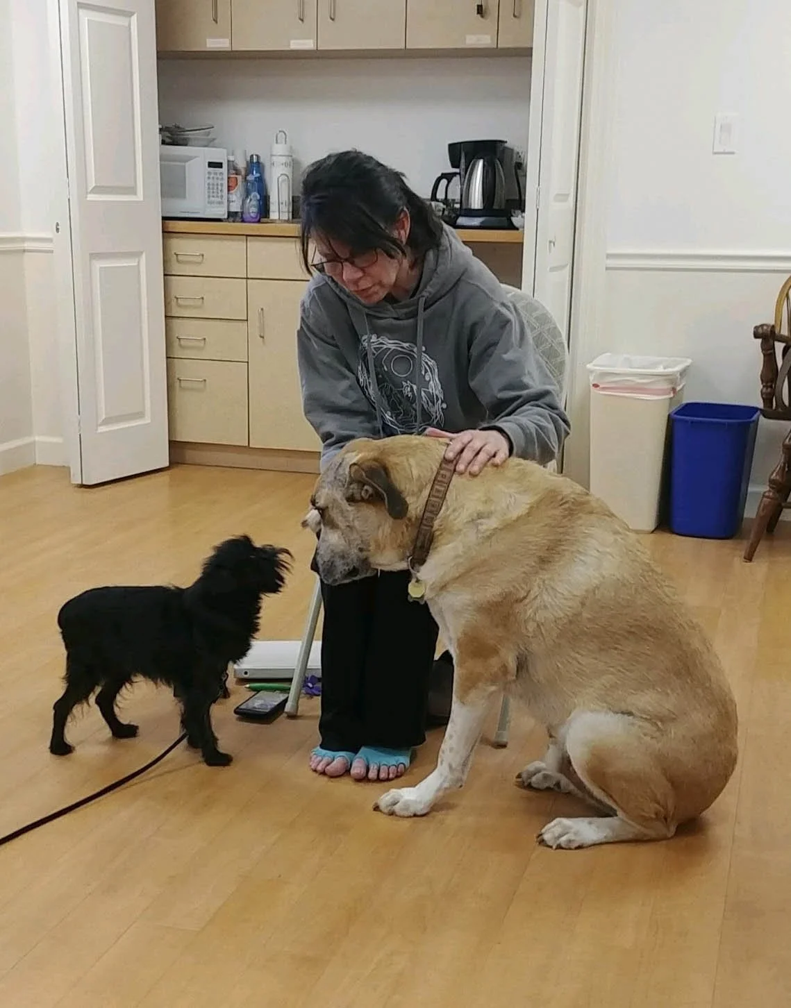 Linda demonstrating Animal Reiki with two dogs