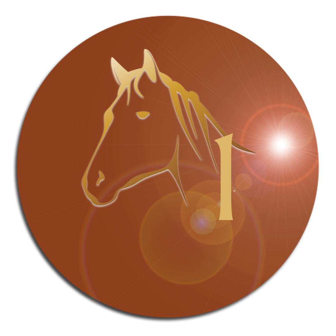 Animal Reiki Level 1