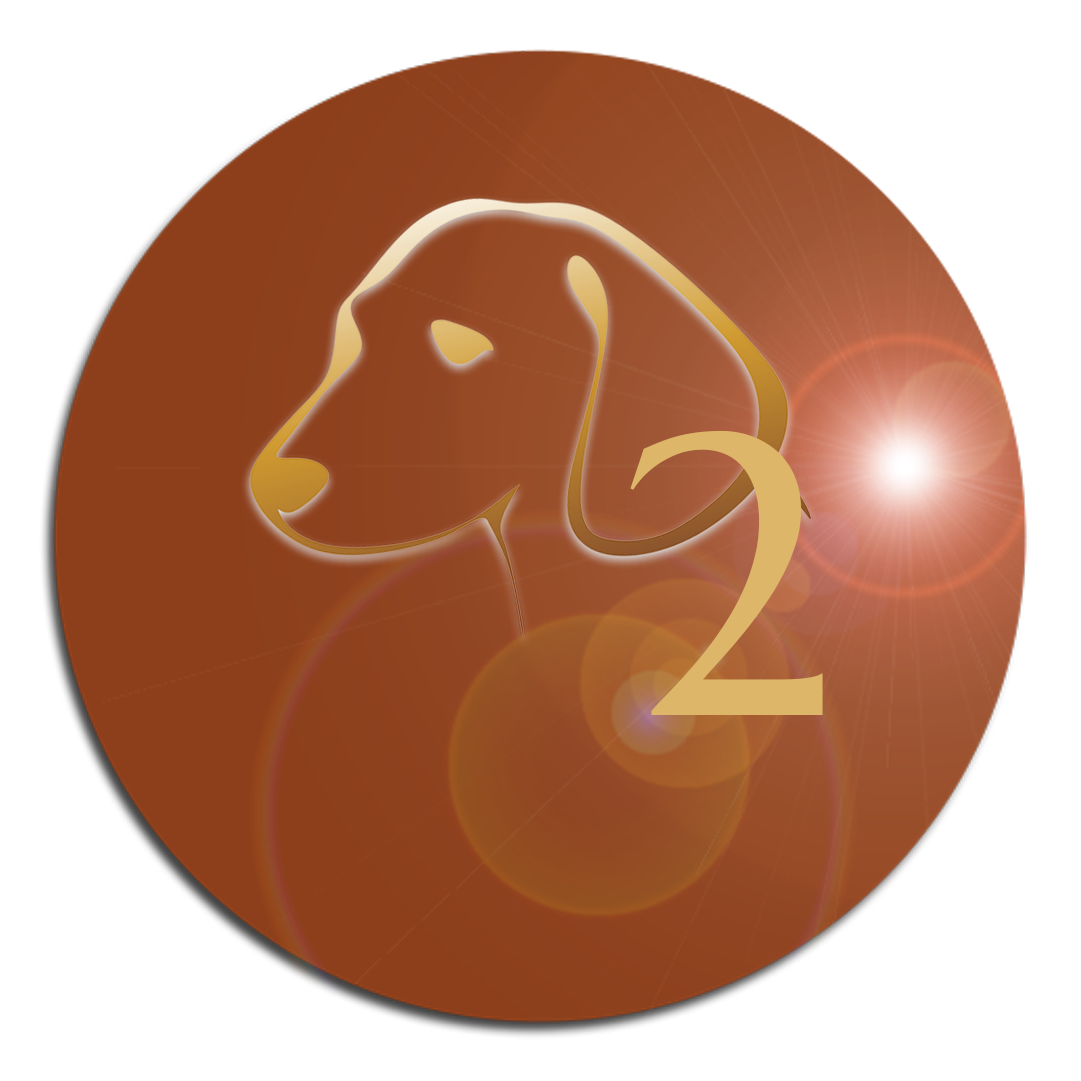 Animal Reiki Level 2