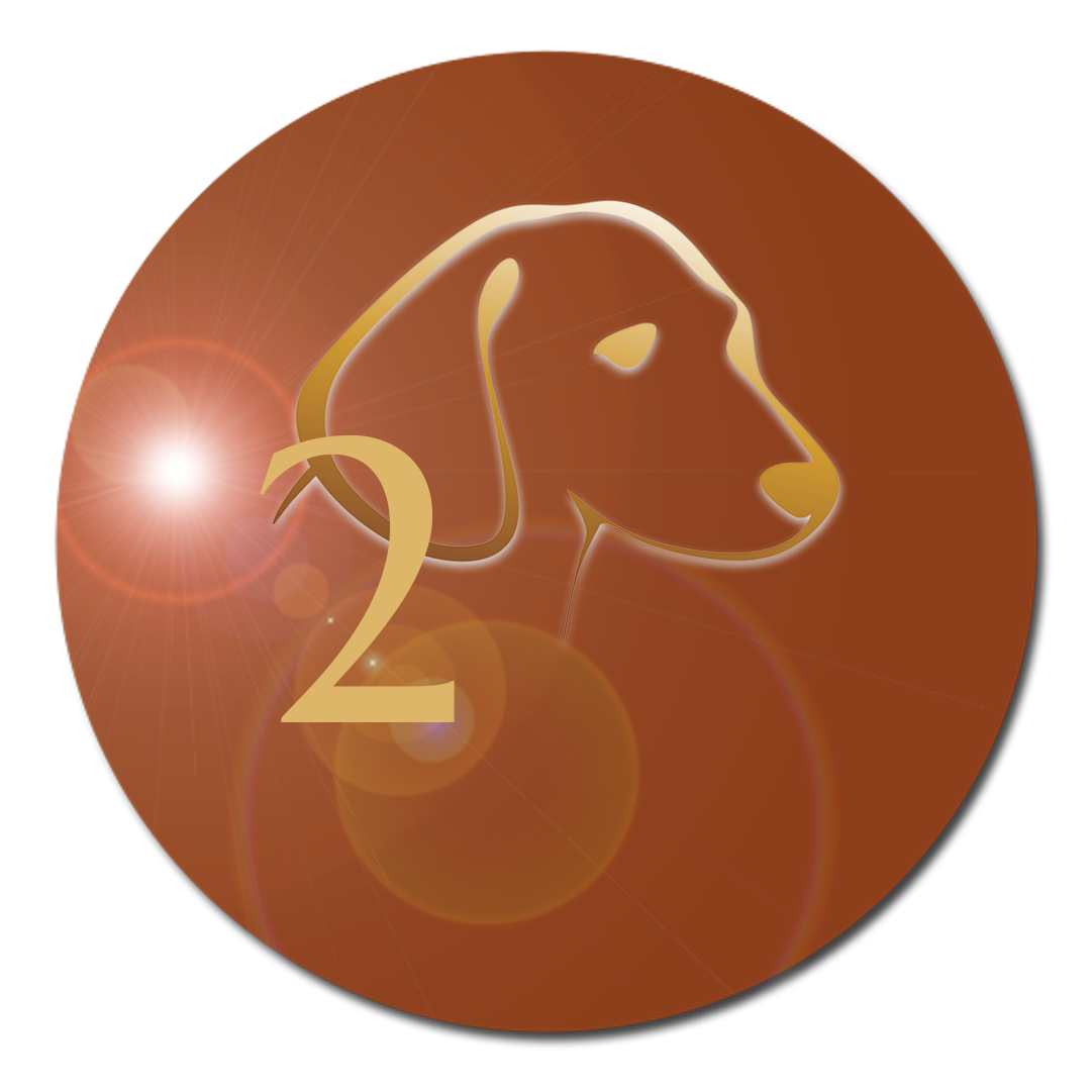 Level 2 Let Animals Lead®