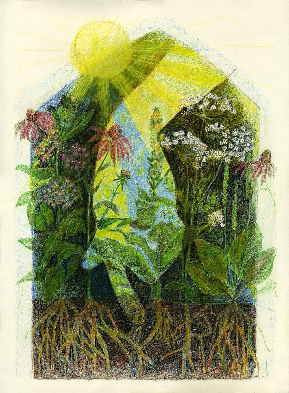 A crayon drawing of transparent hand reaching into a flower garden with the sun above