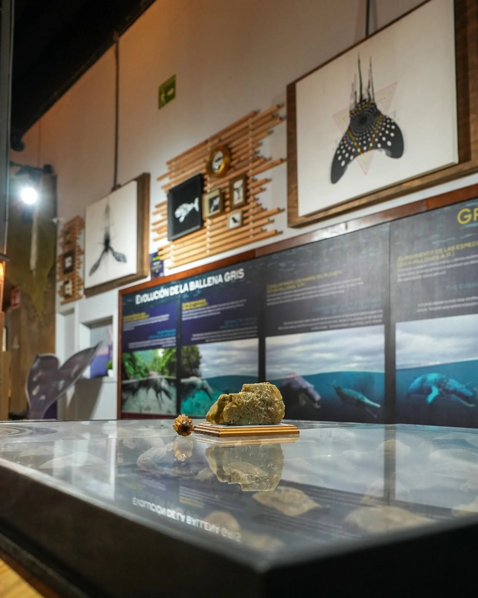 Espacio museográfico con ilustraciones y archivos históricos en exhibición.