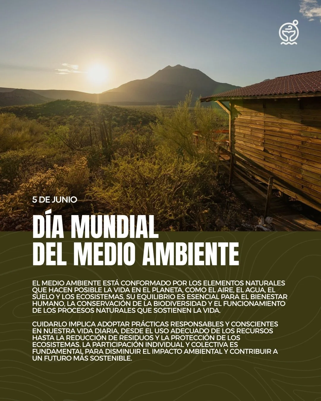 🌿 Hoy celebramos el D&iacute;a Mundial del Medio Ambiente, una oportunidad para reflexionar sobre la relaci&oacute;n que tenemos con nuestro entorno.

El aire que respiramos, el agua que utilizamos y los paisajes que habitamos forman parte de un equ