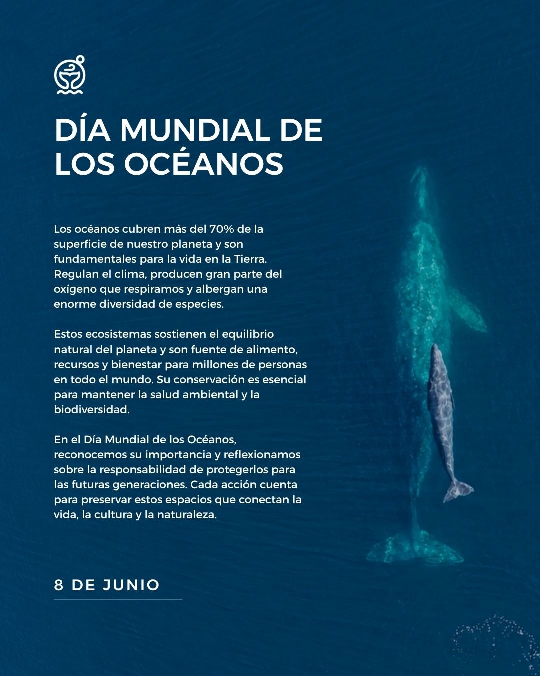🌊💙

Hoy celebramos el D&iacute;a Mundial de los Oc&eacute;anos, una fecha que nos invita a reconocer la importancia de estos ecosistemas para la vida en nuestro planeta.

Los oc&eacute;anos regulan el clima, albergan una extraordinaria diversidad d