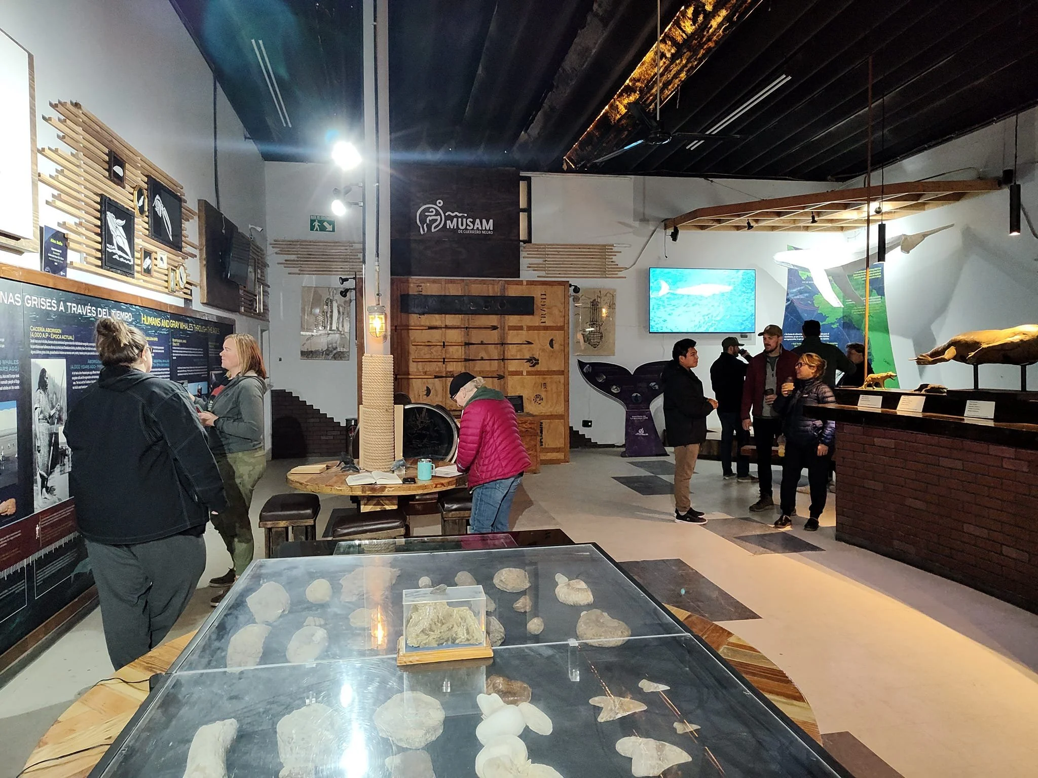 Visitantes recorren exposiciones y espacios culturales dentro del museo MUSAM.