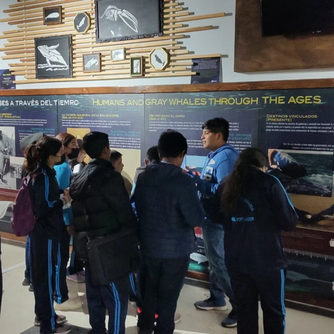 Grupo de estudiantes durante visita guiada en exposición del MUSAM.