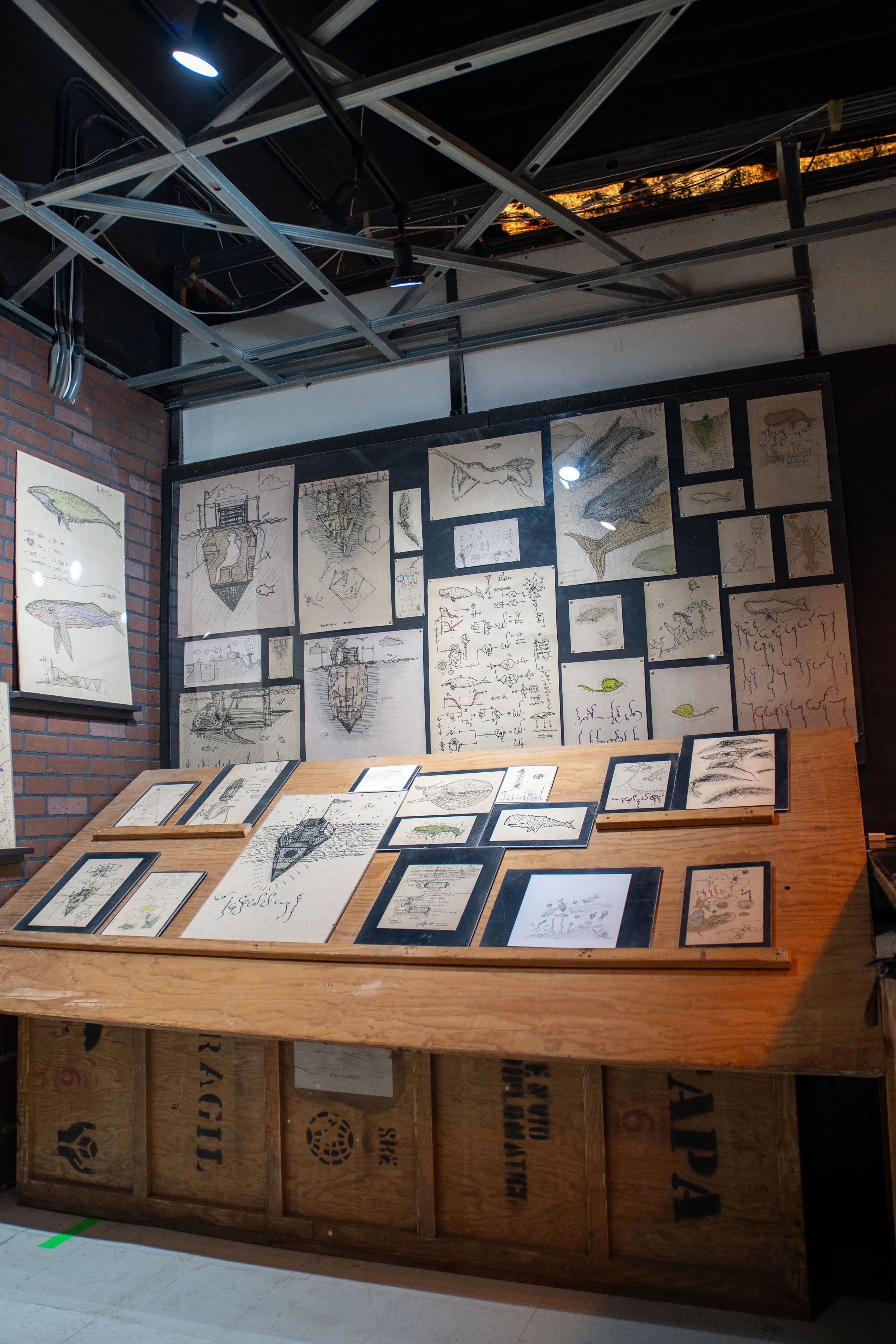 Espacio museográfico con ilustraciones y archivos históricos en exhibición.