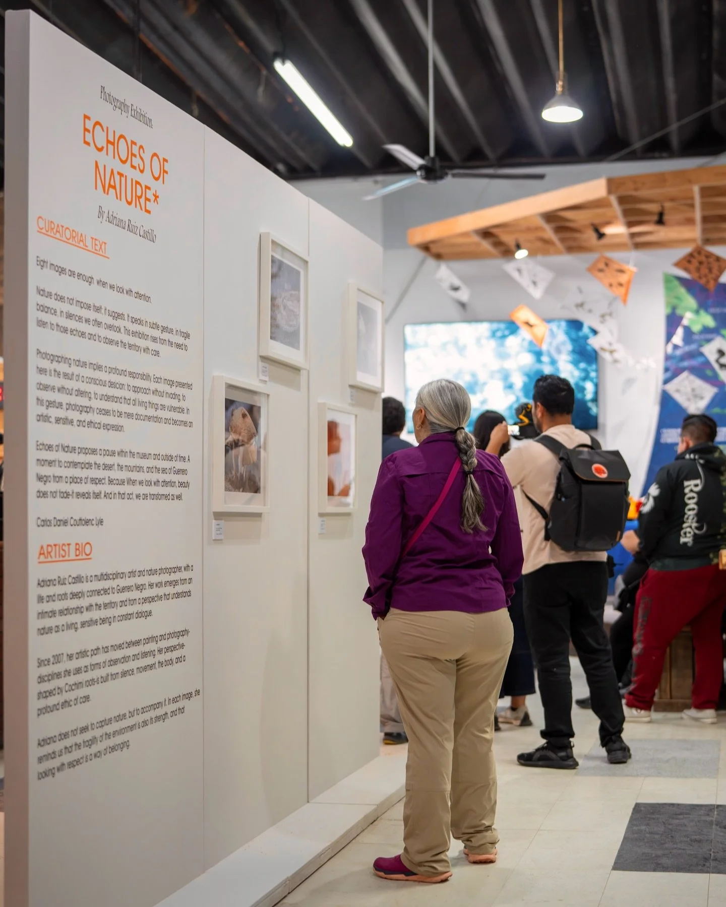 Visitantes recorriendo la exposición “Ecos de la Naturaleza” en MUSAM.
