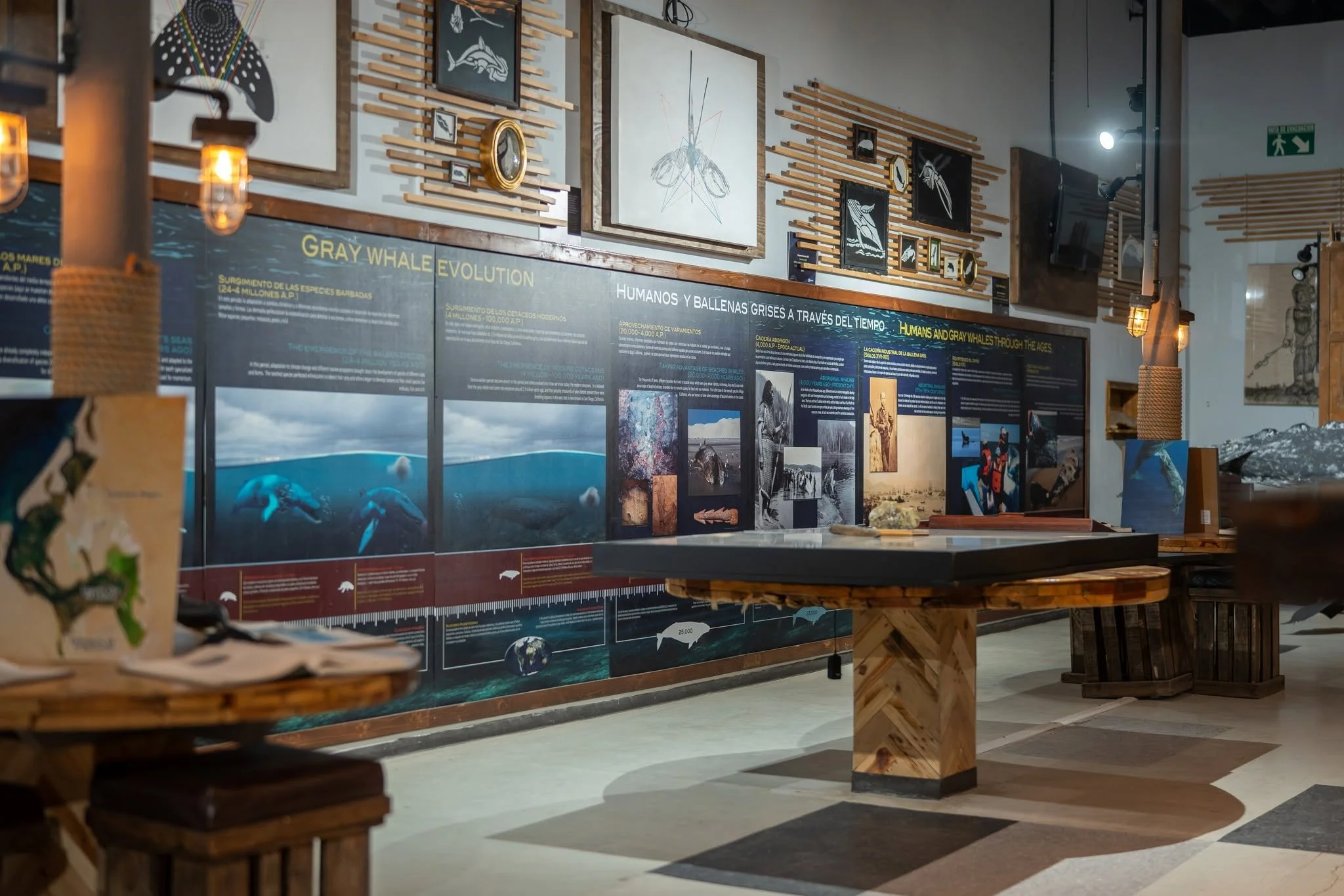 Interior del museo MUSAM con exhibición de ballenas y espacios interactivos en Guerrero Negro.