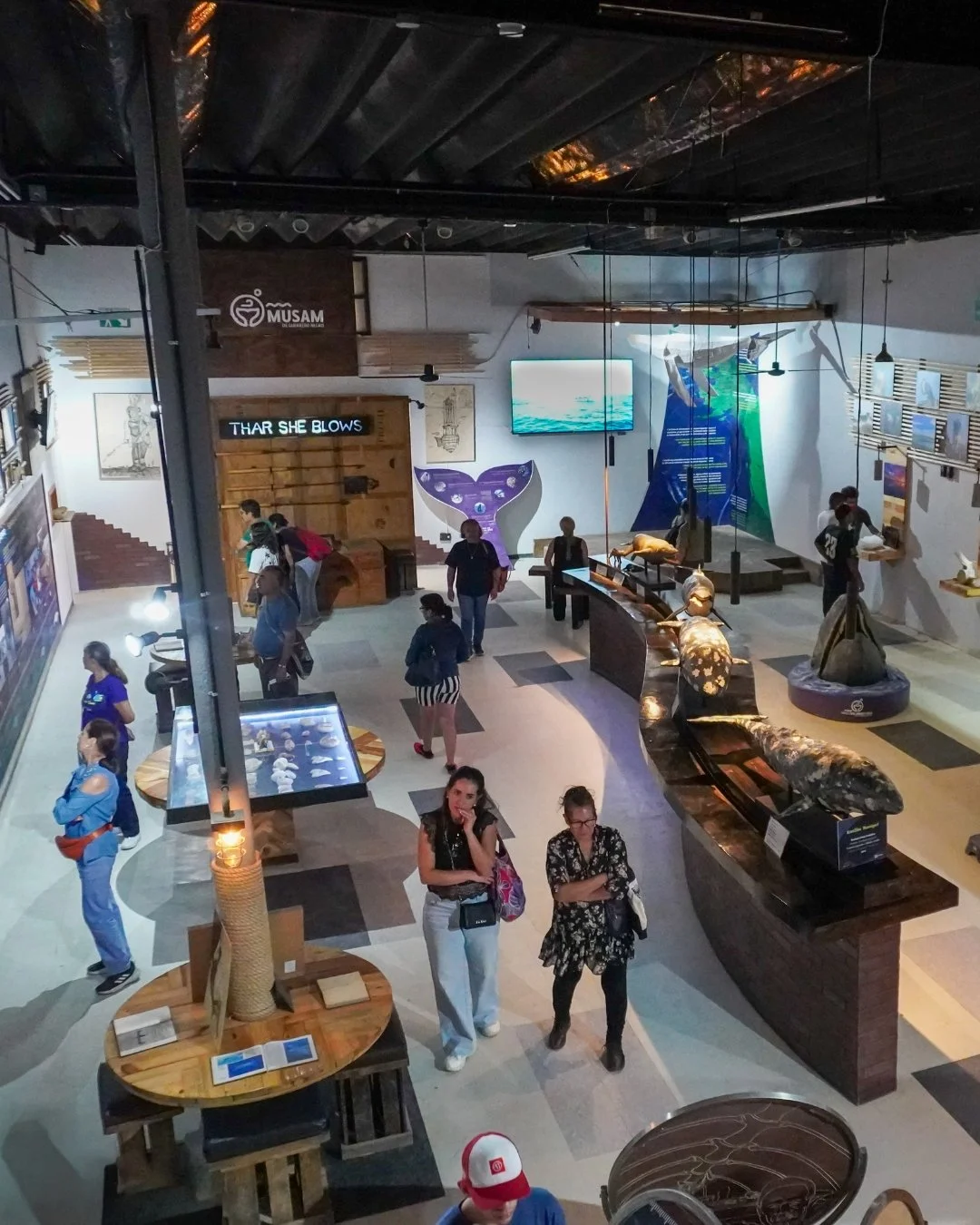 Visitantes recorriendo exposiciones culturales y naturales en MUSAM.