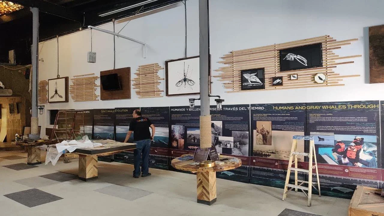 Primer espacio expositivo del MUSAM durante el inicio del proyecto comunitario en Guerrero Negro.