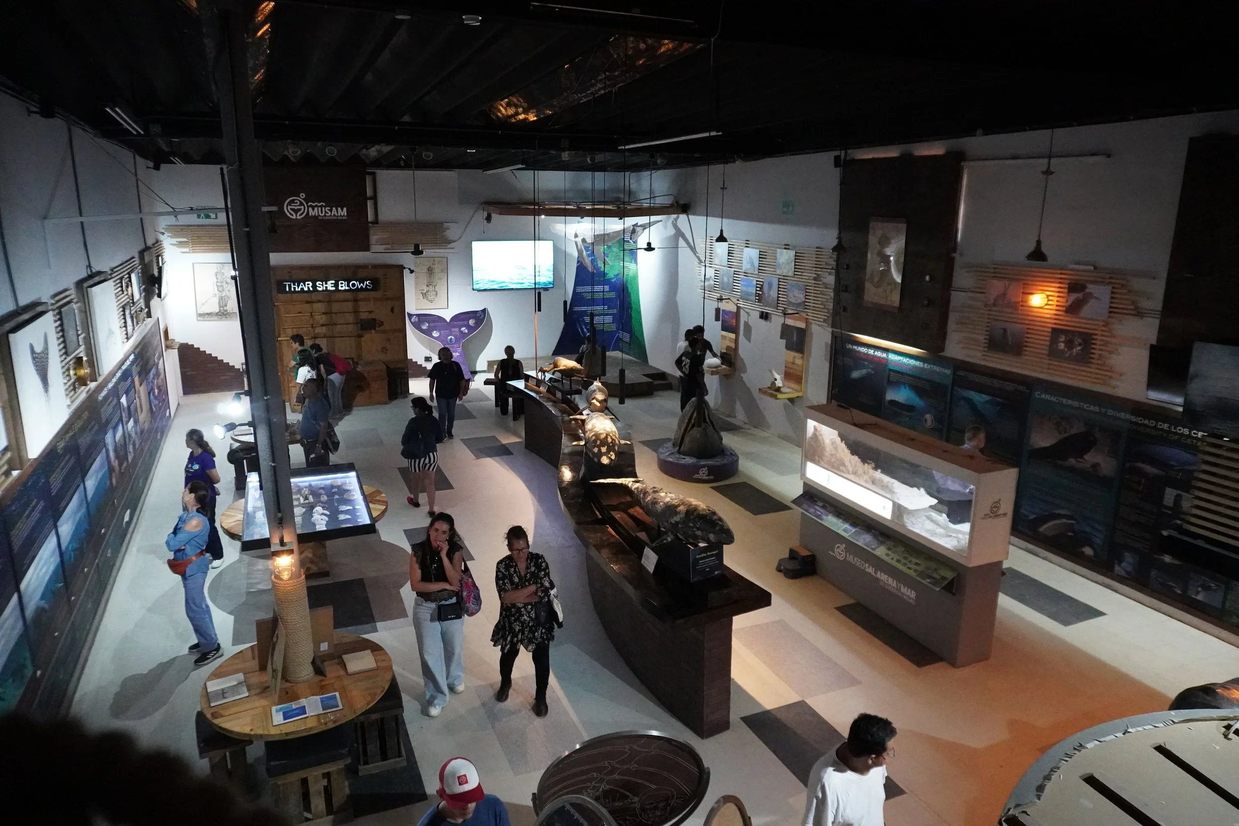 Visitantes recorriendo las salas y exhibiciones del museo MUSAM.