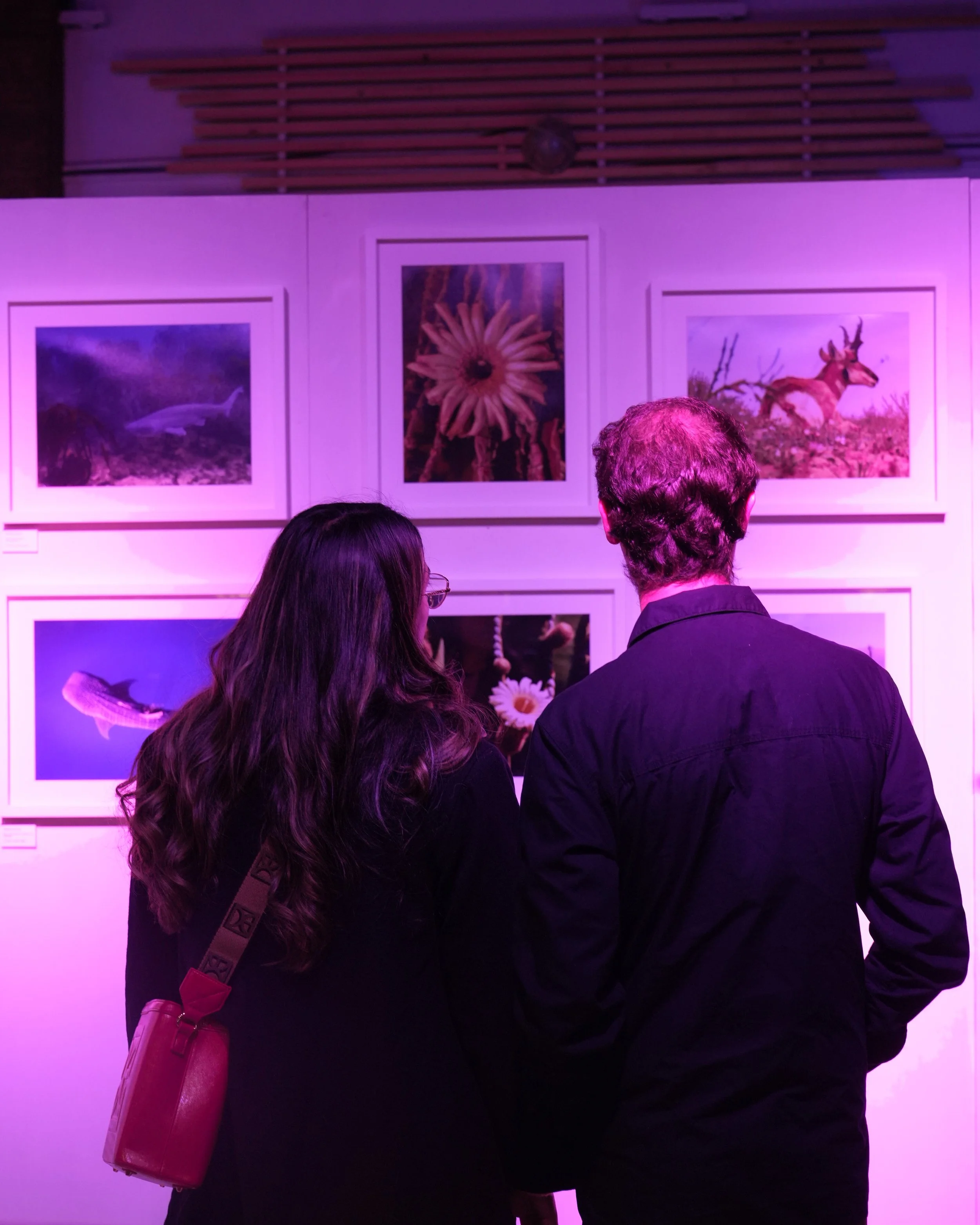 Visitantes observando exposición fotográfica y artística en espacio cultural.
