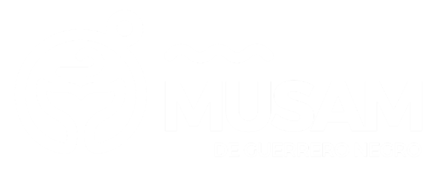 MUSAM