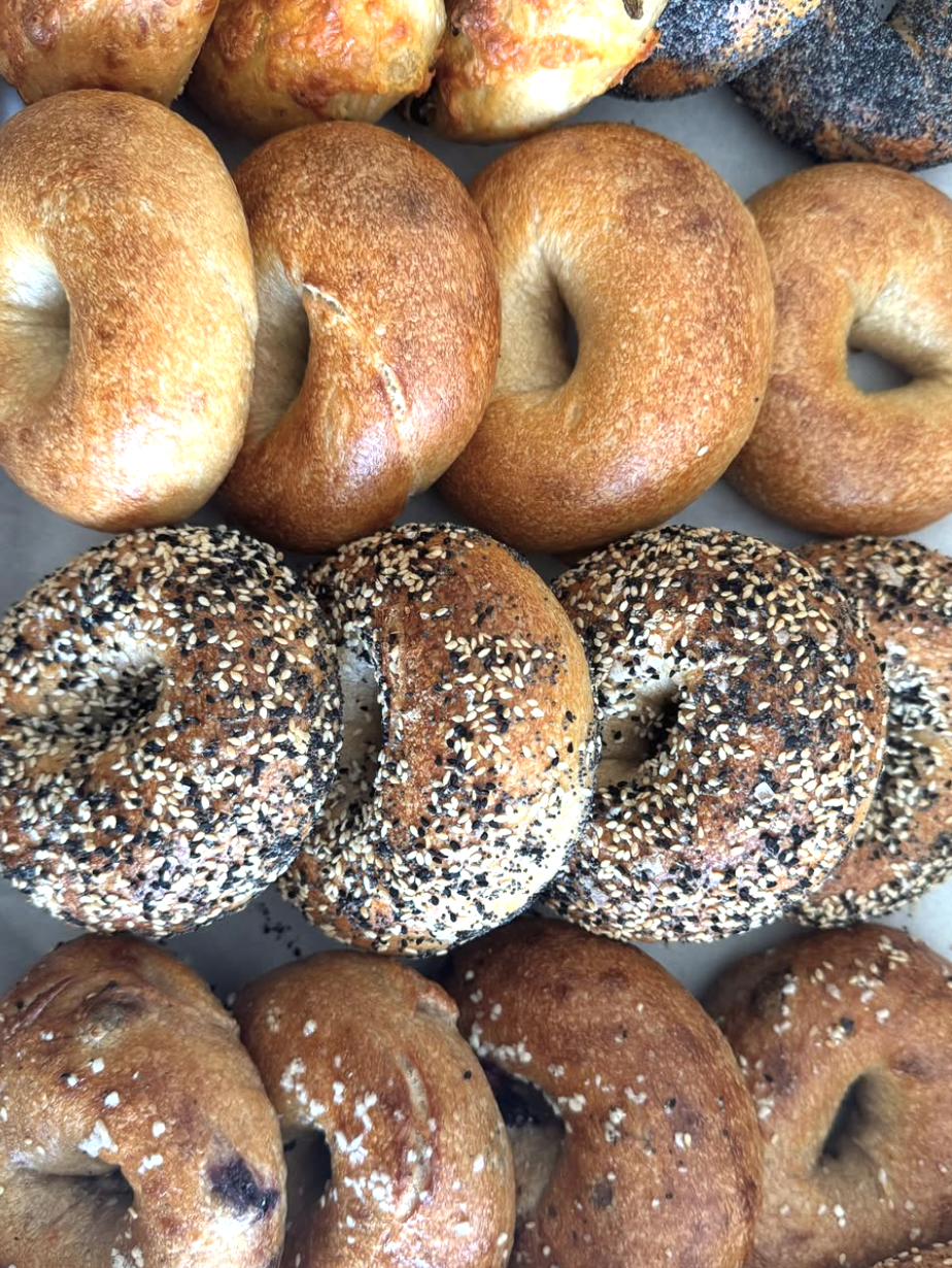 Screenshot 2026-02-24 at 11.54.13 AM.png