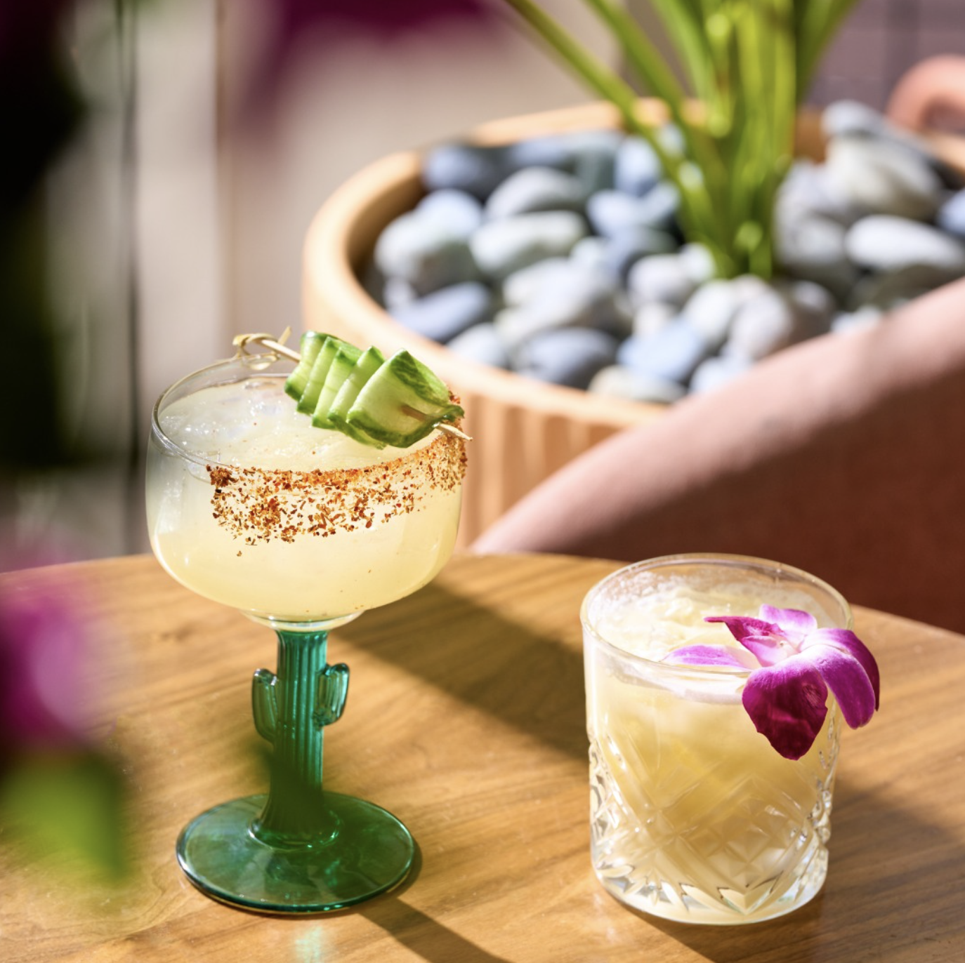 Screenshot 2026-02-24 at 11.24.41 AM.png