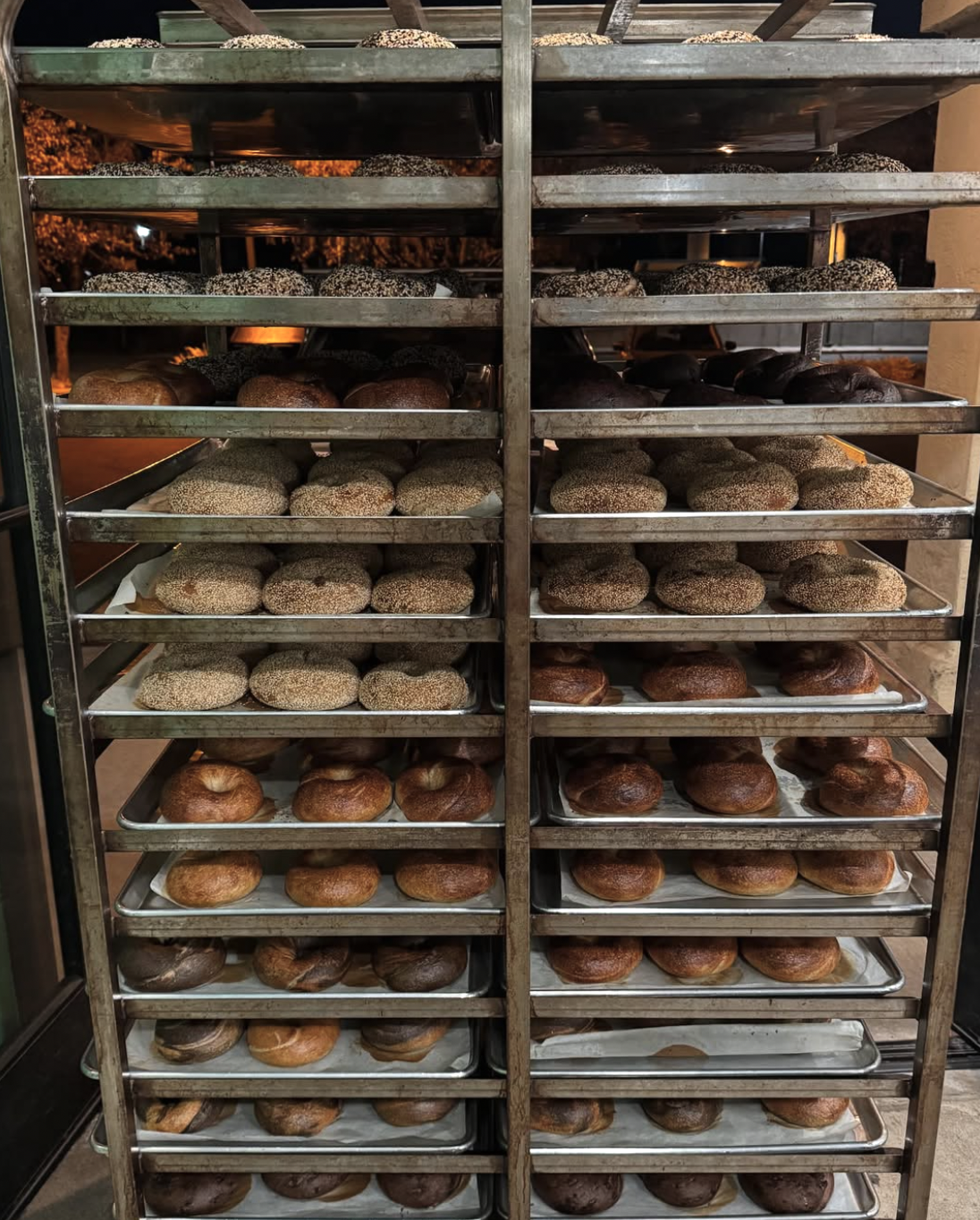 Screenshot 2026-02-24 at 11.54.07 AM.png