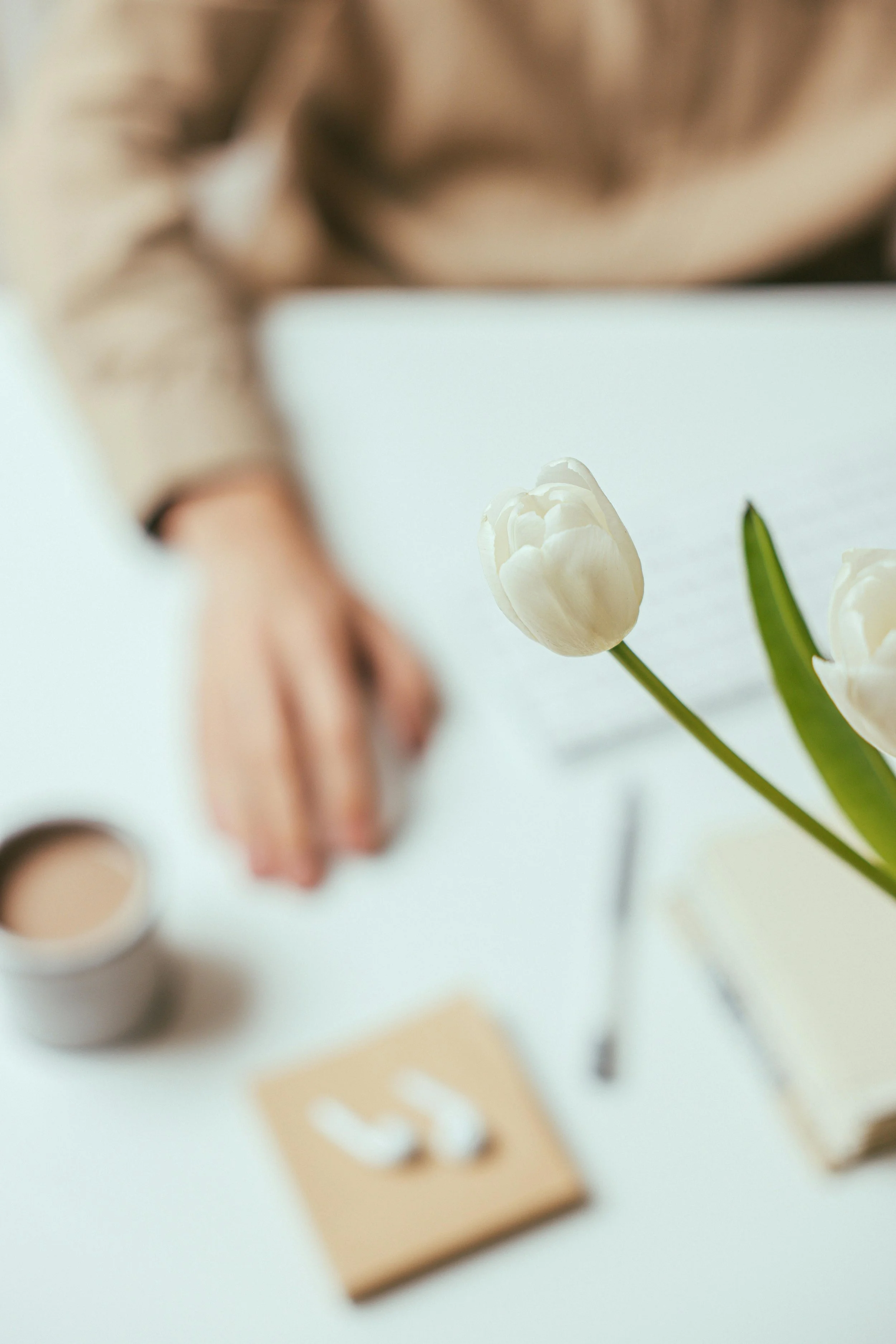 Close-up of white tulips with green stems placed on a white surface, with blurred background showing a person wearing a beige long-sleeve shirt.