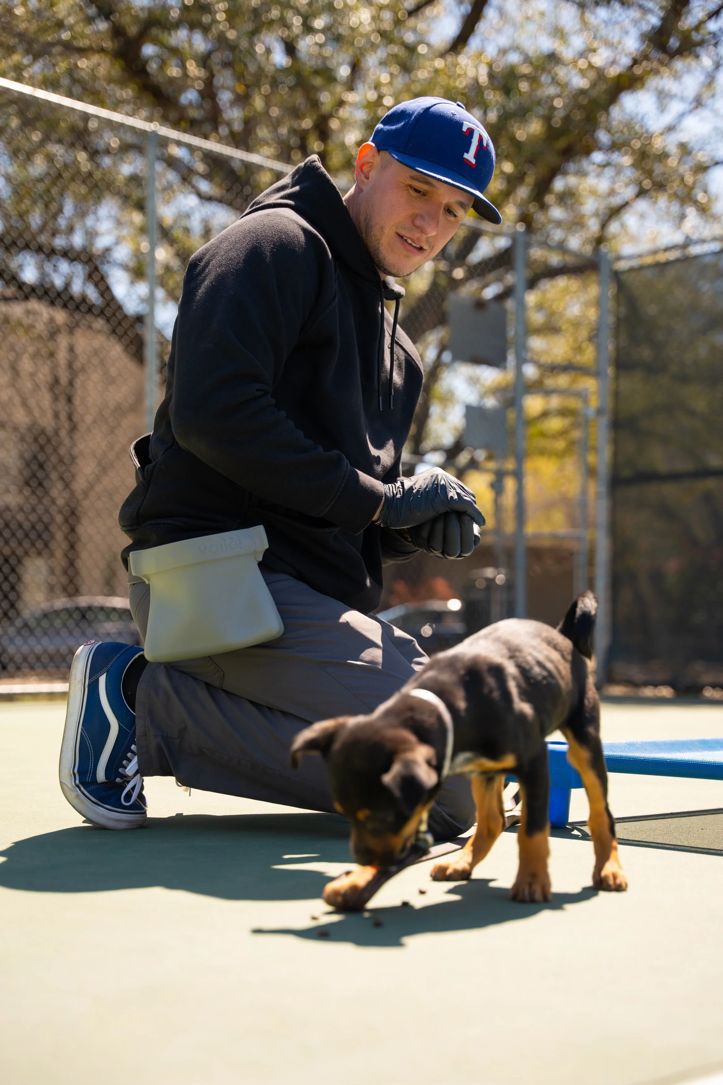 A person kneeling on a sports court with a small dog, possibly a puppy, sniffing the ground. The person is wearing a black hoodie, gray pants, blue sneakers, a blue baseball cap with a red and white logo, and gloves. The scene takes place outdoors with trees and a fence in the background.