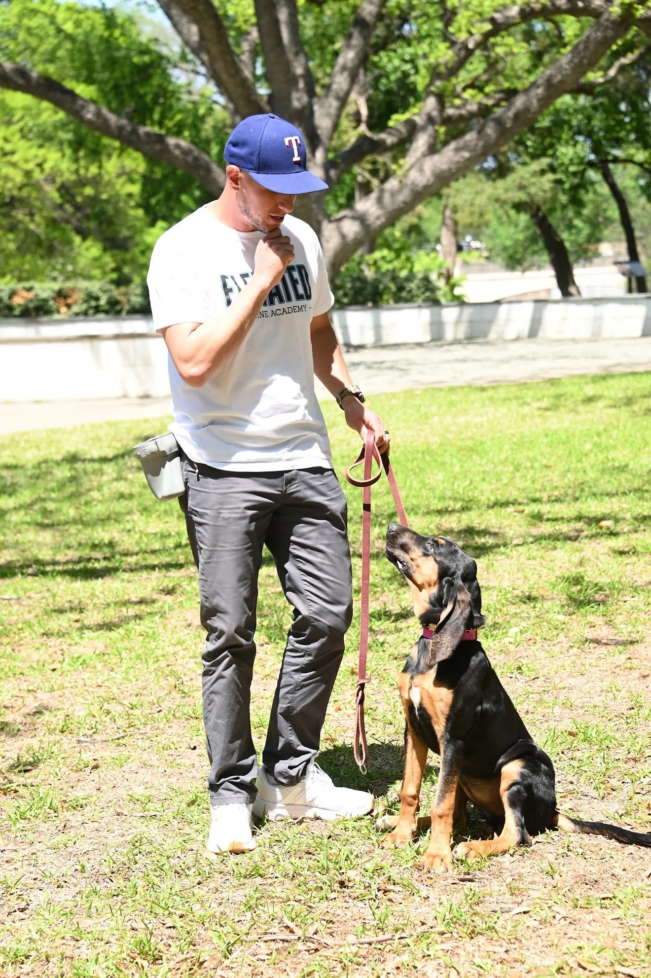 A man wearing a white t-shirt with text, gray pants, a blue baseball cap with a red and white logo, and white shoes, stands outdoors on grass with a large dog, possibly a hound, sitting on the ground. The man appears to be giving a command or instructing the dog, who is looking up at him attentively. There are trees in the background.