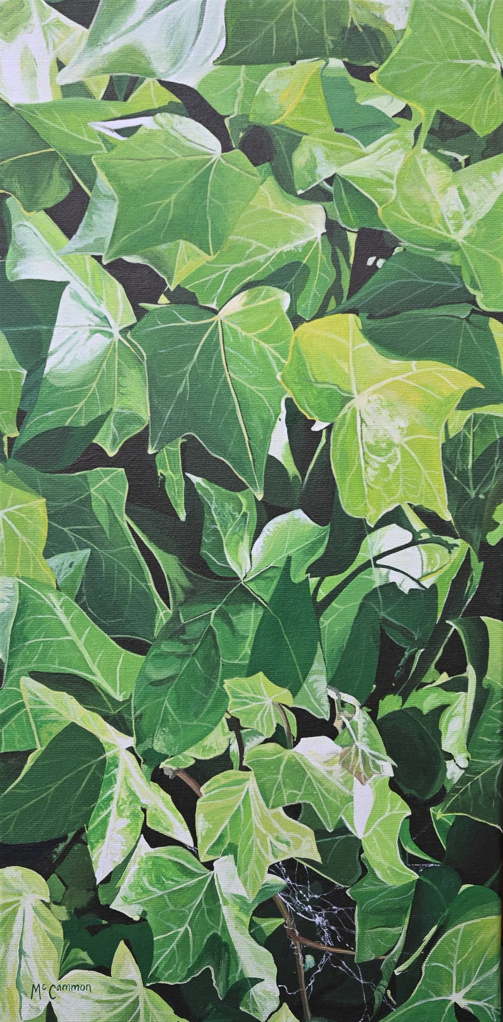 'Ivy'
Acrylic
500mm x 250mm