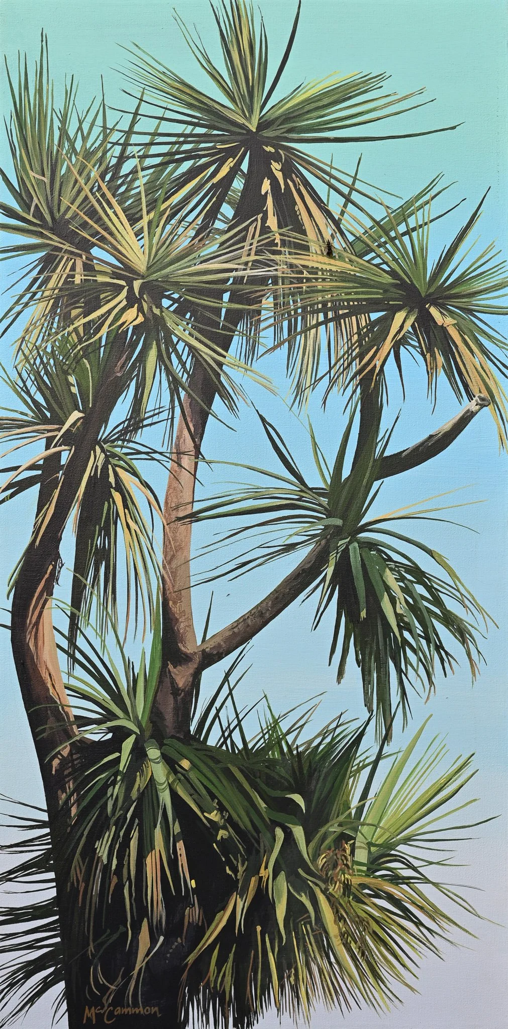'Cabbage Tree'
750mm x 375mm
