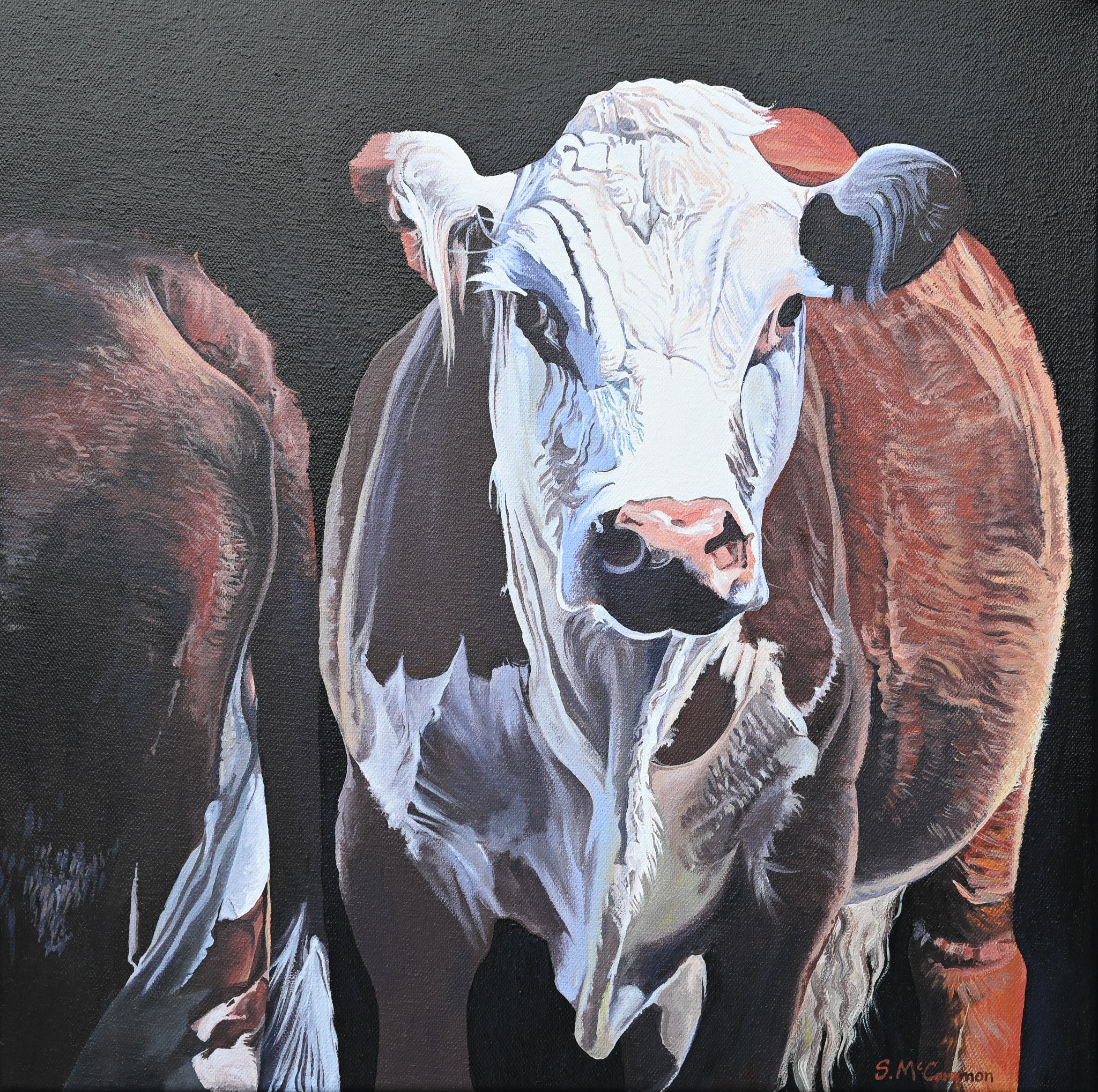 'Hugh'
Acrylic
450mm x 450mm