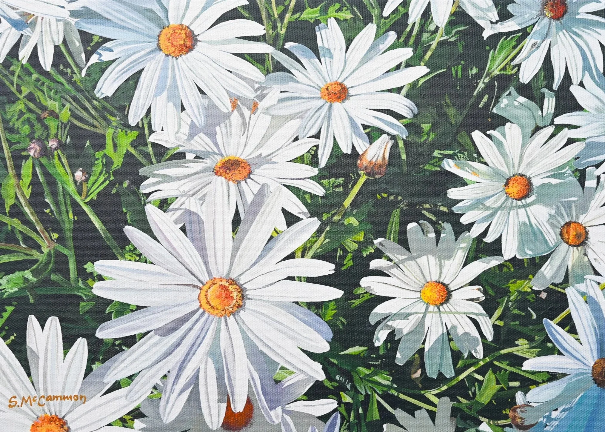 A painting of white daisies with orange centers against green foliage.