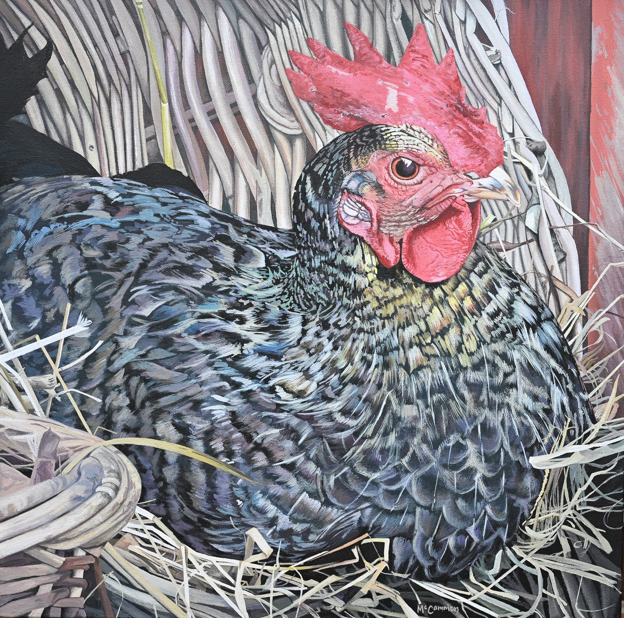'Chook Chook'
Acrylic
500mm x 500mm