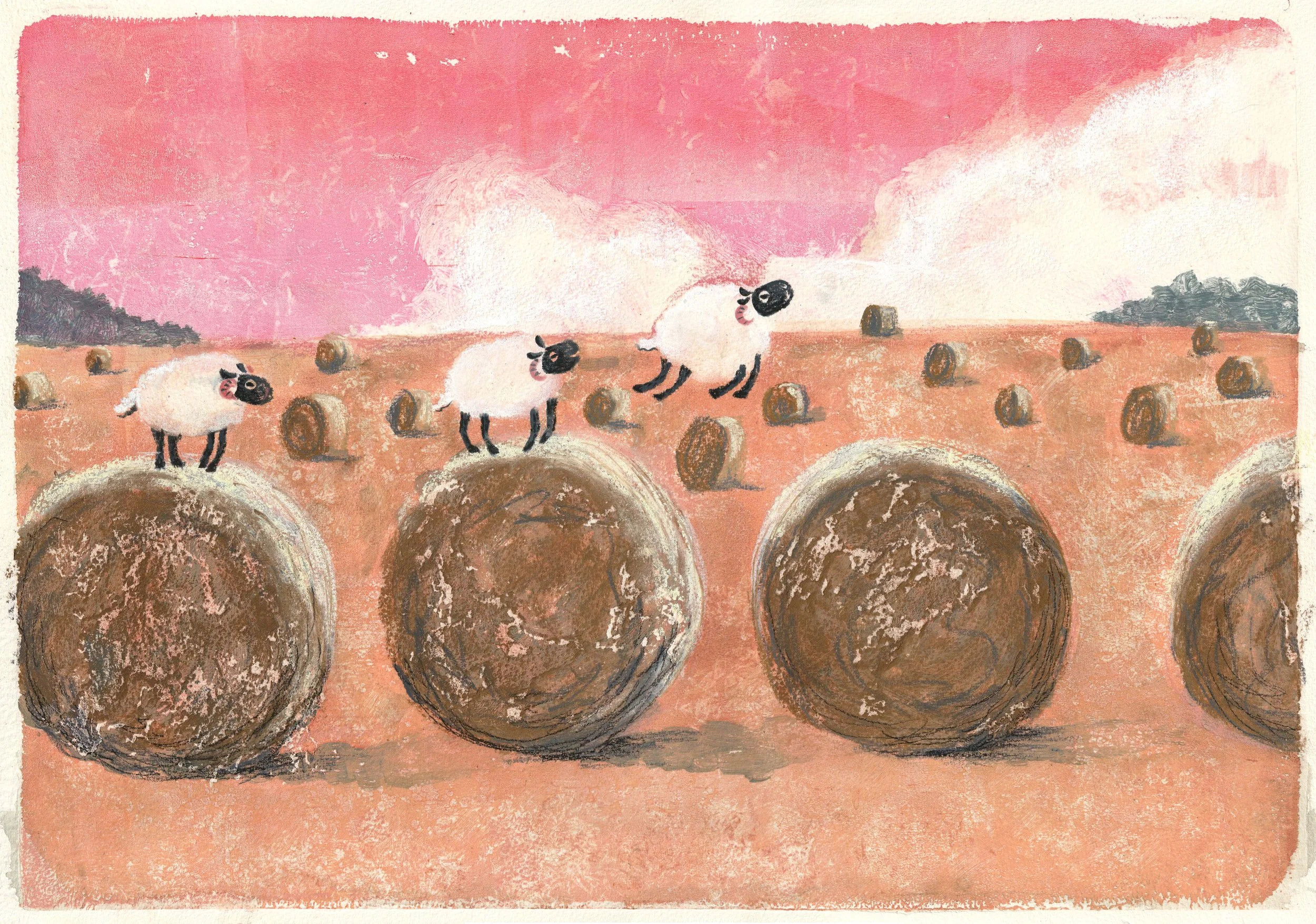sheeps copy.jpg