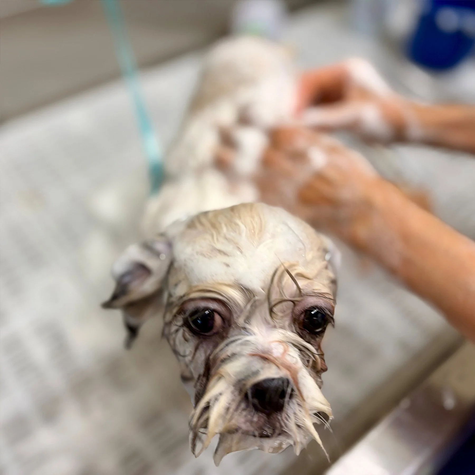 Bath Time — Gentle care with quality products.