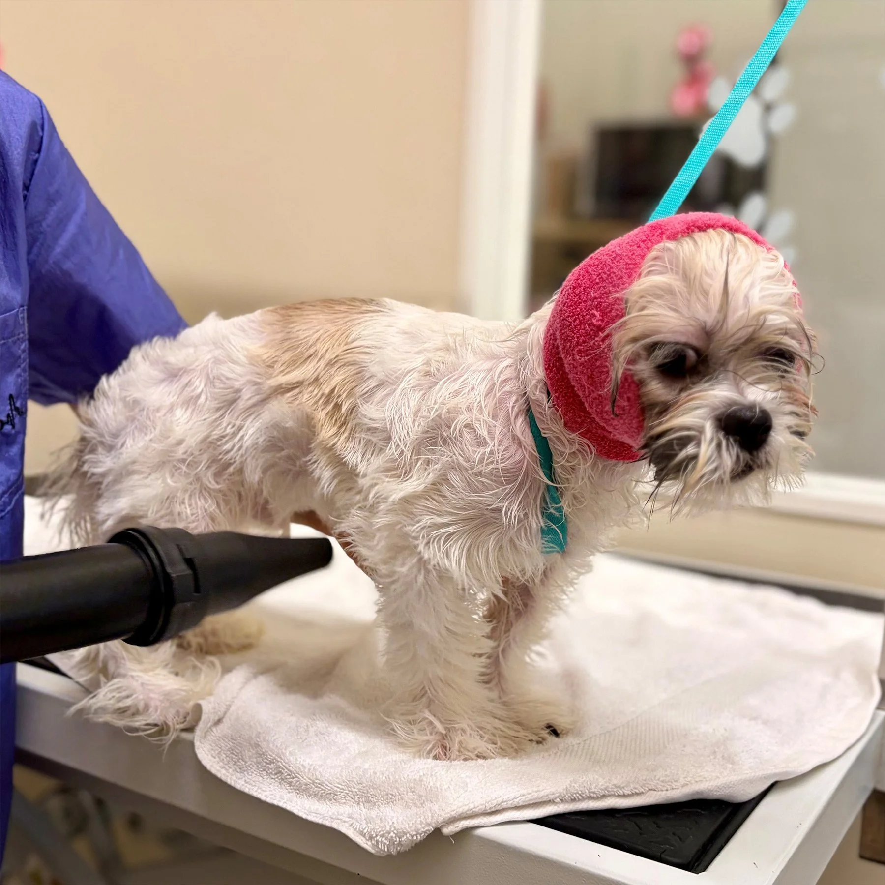 Dry Time — Careful hand‑drying for comfort.