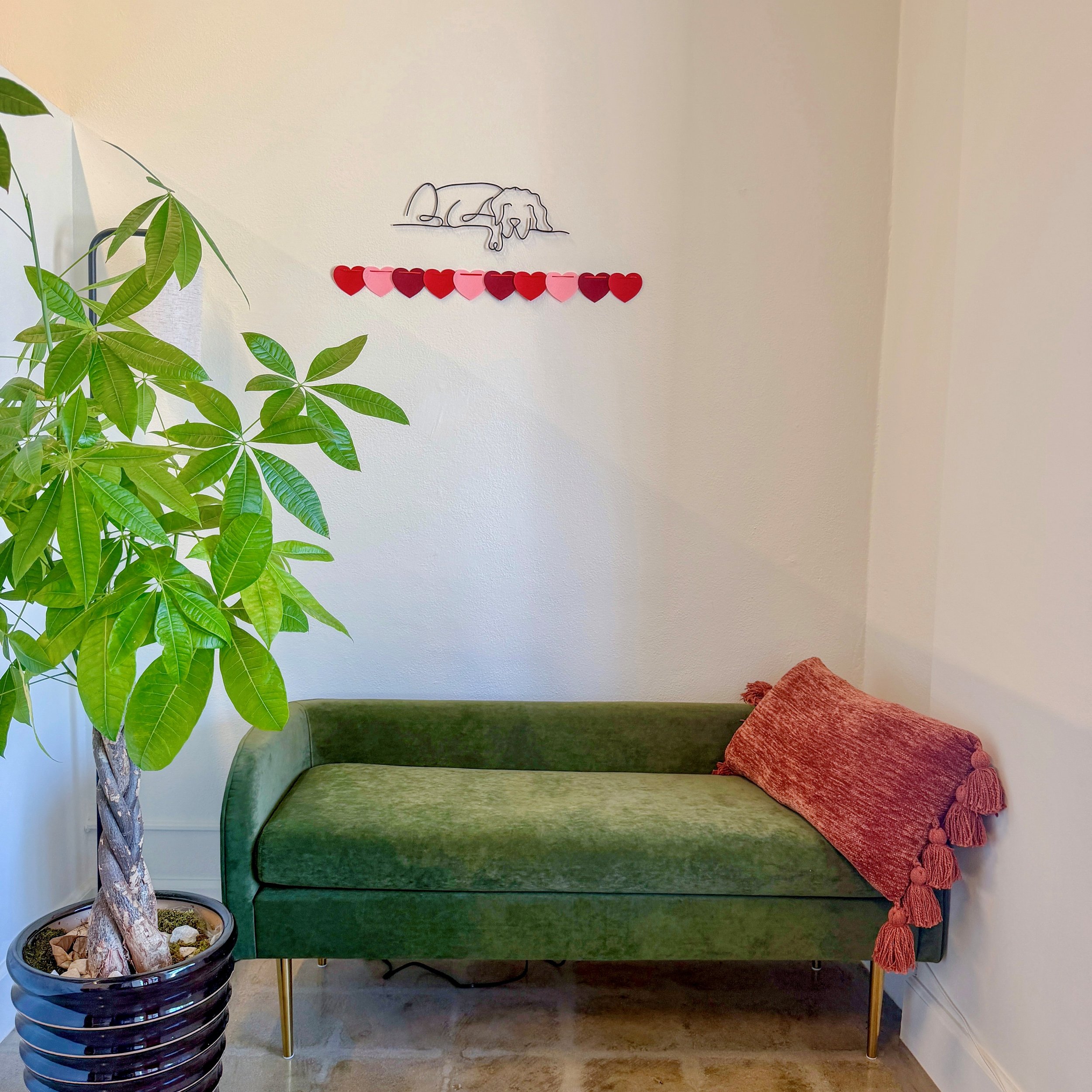 Lounge — A calm space to relax.