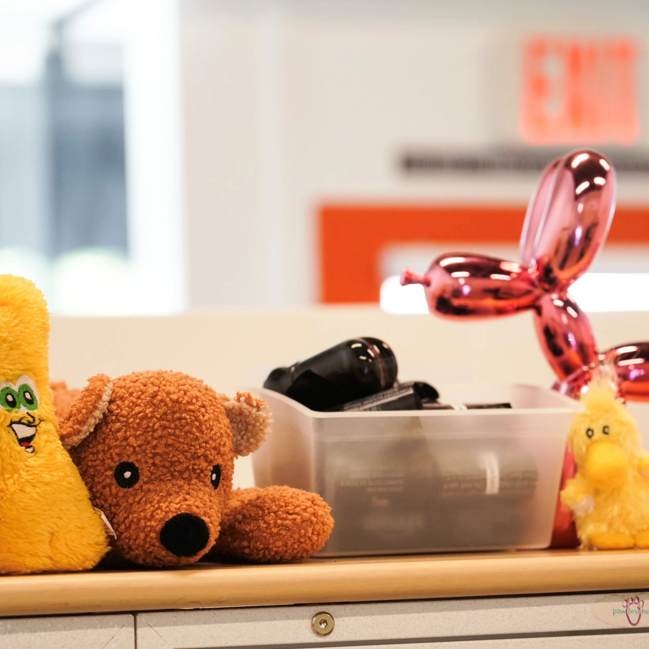 Like Home — Toys and essentials for our guests.