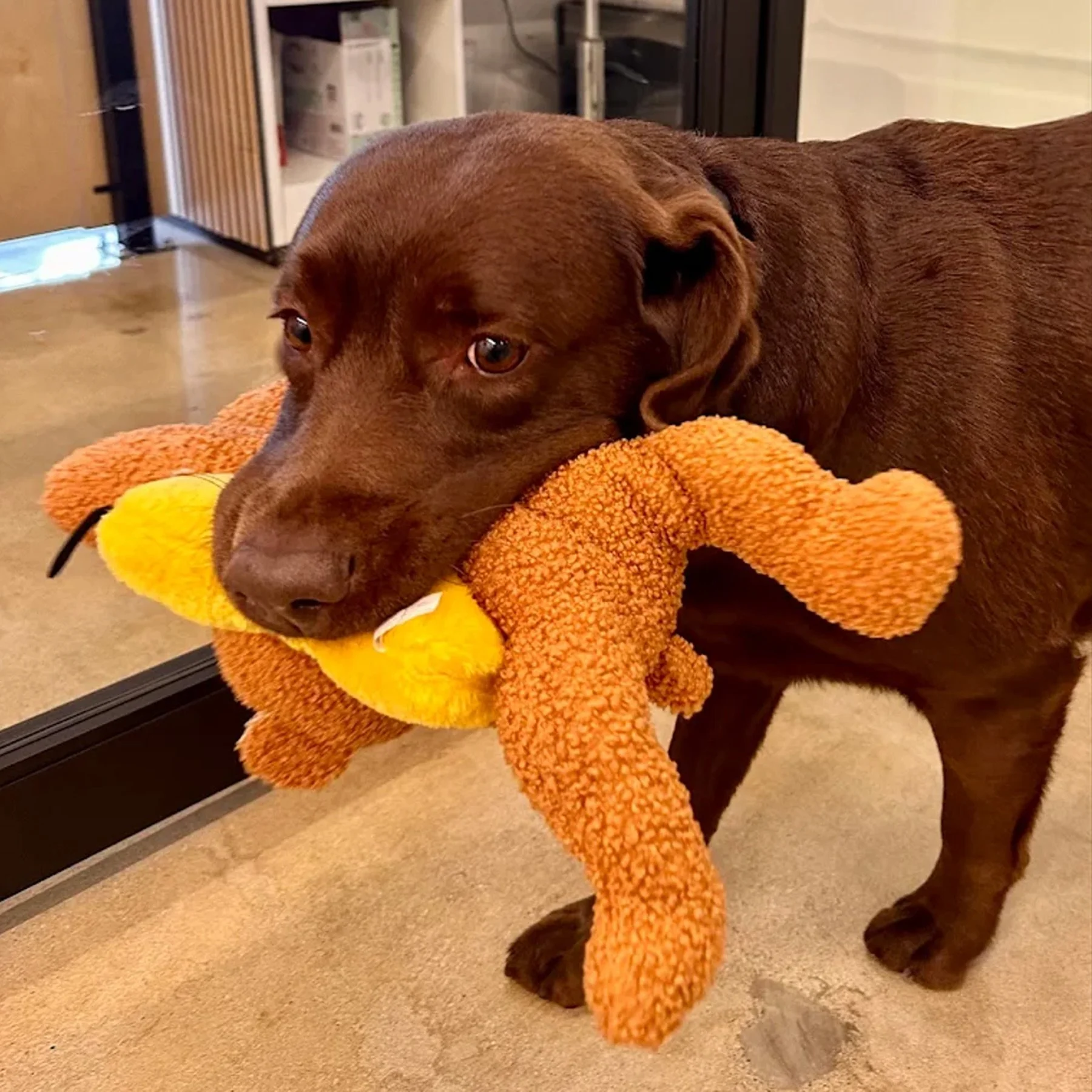 Couldn’t Choose Just One.