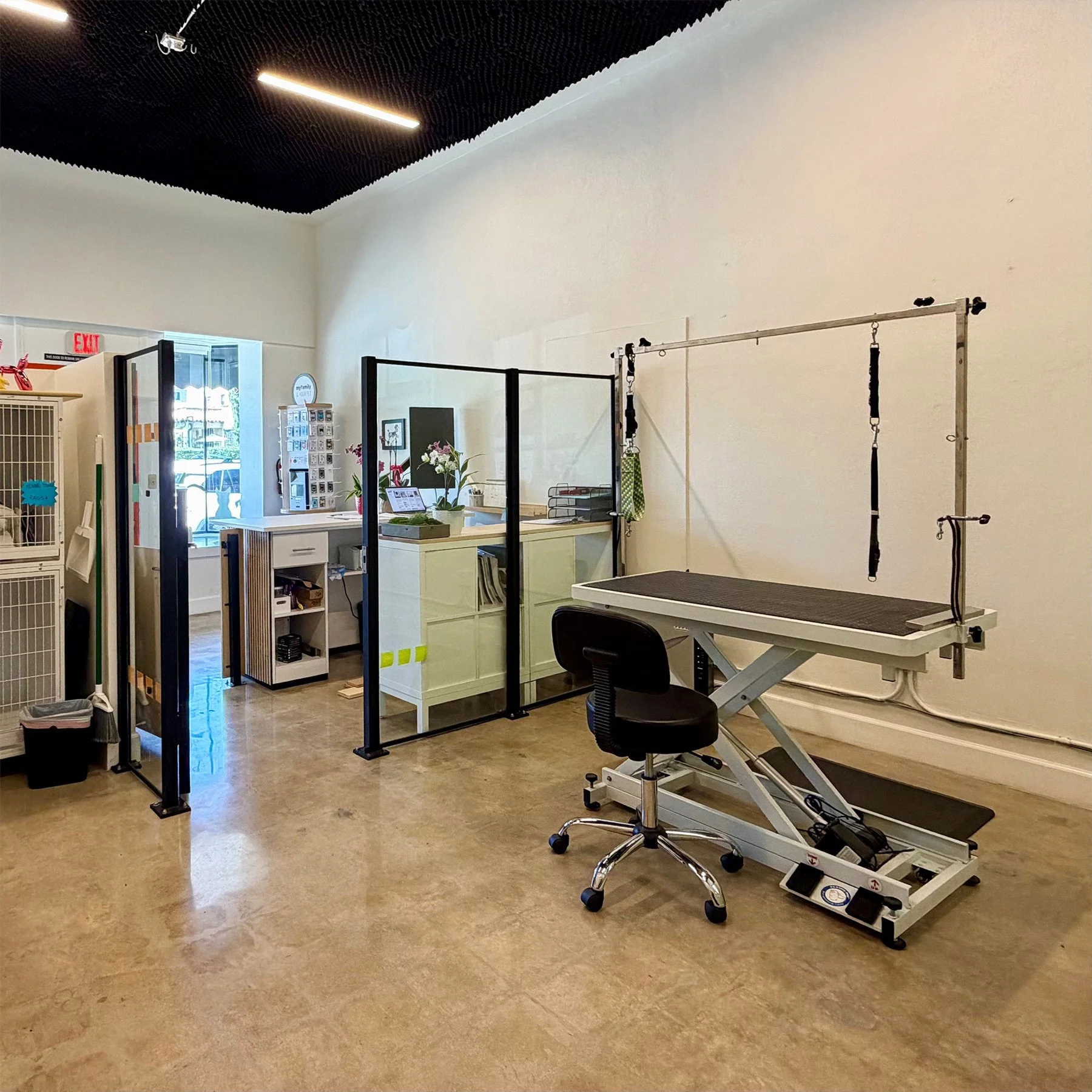 Grooming Area — Open, bright, and transparent.