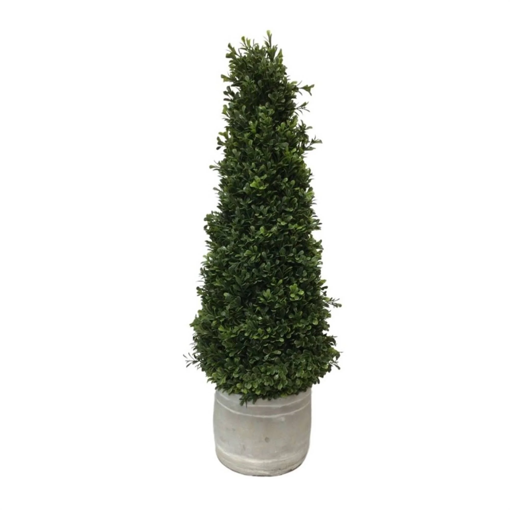28" Artificial European Boxwood Topiary in Whitewashed Ceramic Pot