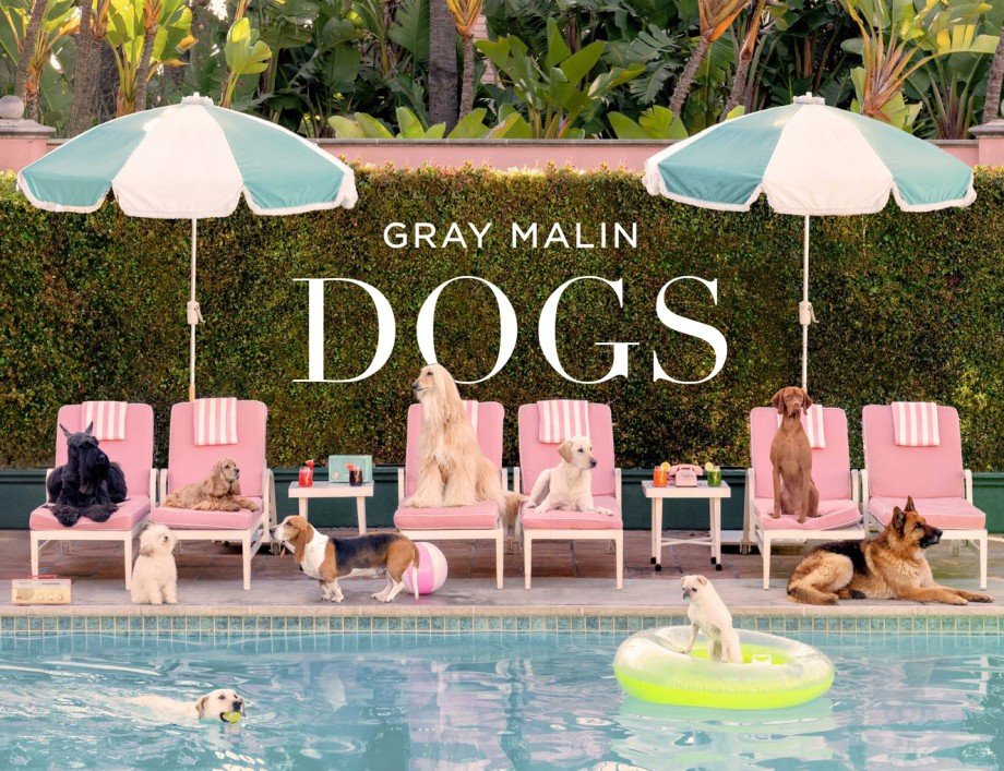 Gray Malin "Dogs" Hardcover Fine Art Photography Coffee Table Book
