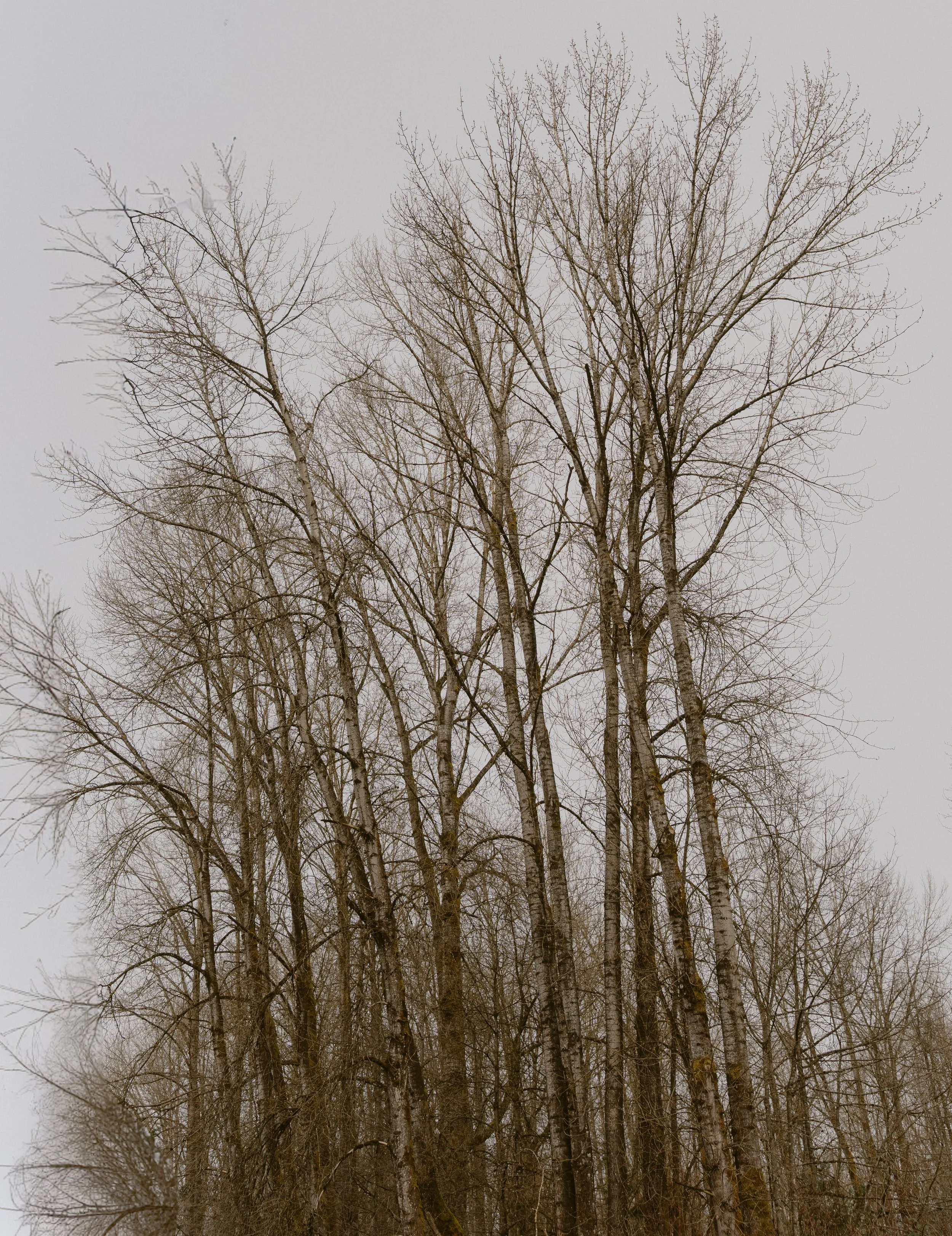 DSC08536.jpg