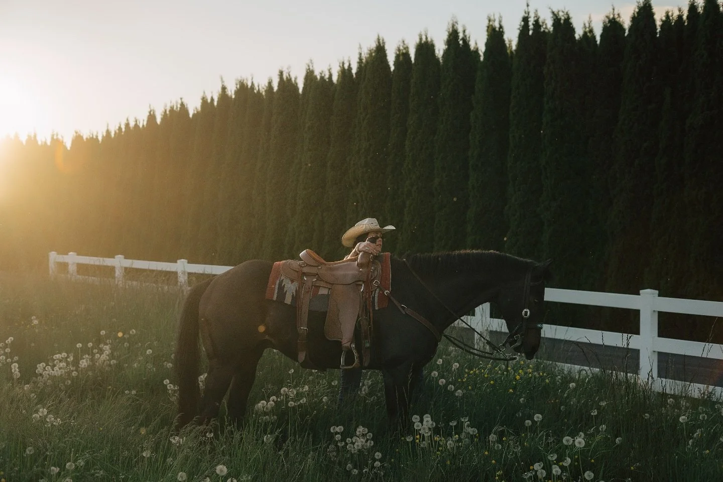 We can&rsquo;t believe summer is already winding down but it&rsquo;s not over yet! The past few weeks have been such a whirlwind as we tackle the middle of our busy season, filled with the dreamiest golden hour shoots we can&rsquo;t wait to share. 💛