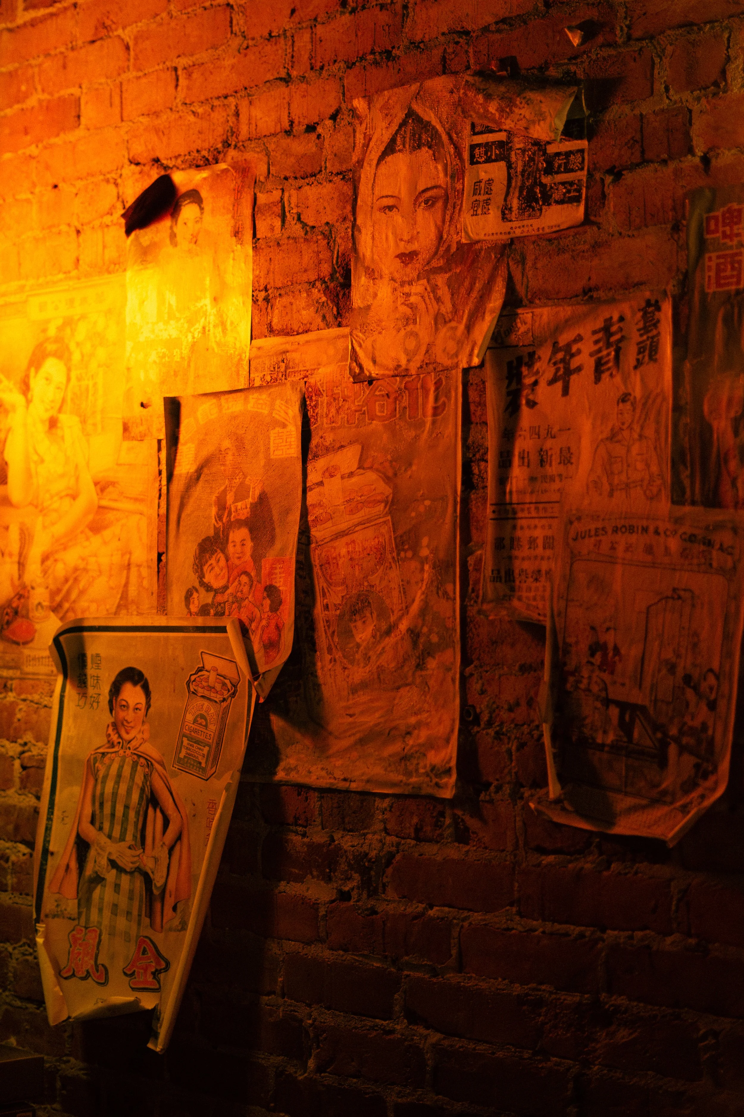 DSC08246.jpg