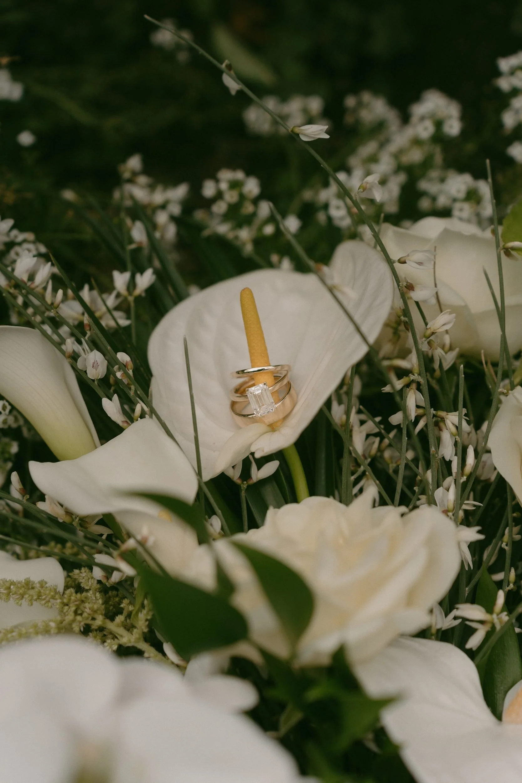 langley-wedding-photographer-fraser-valley-036.jpg